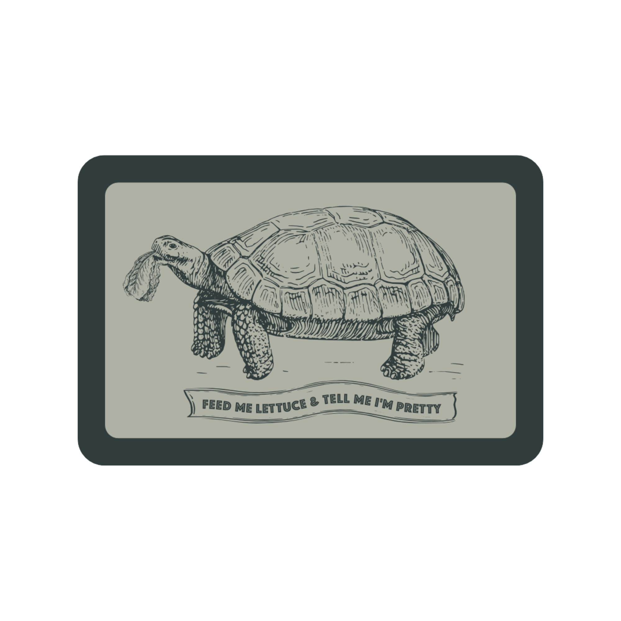 Tell Me I'm Pretty Vinyl Sticker