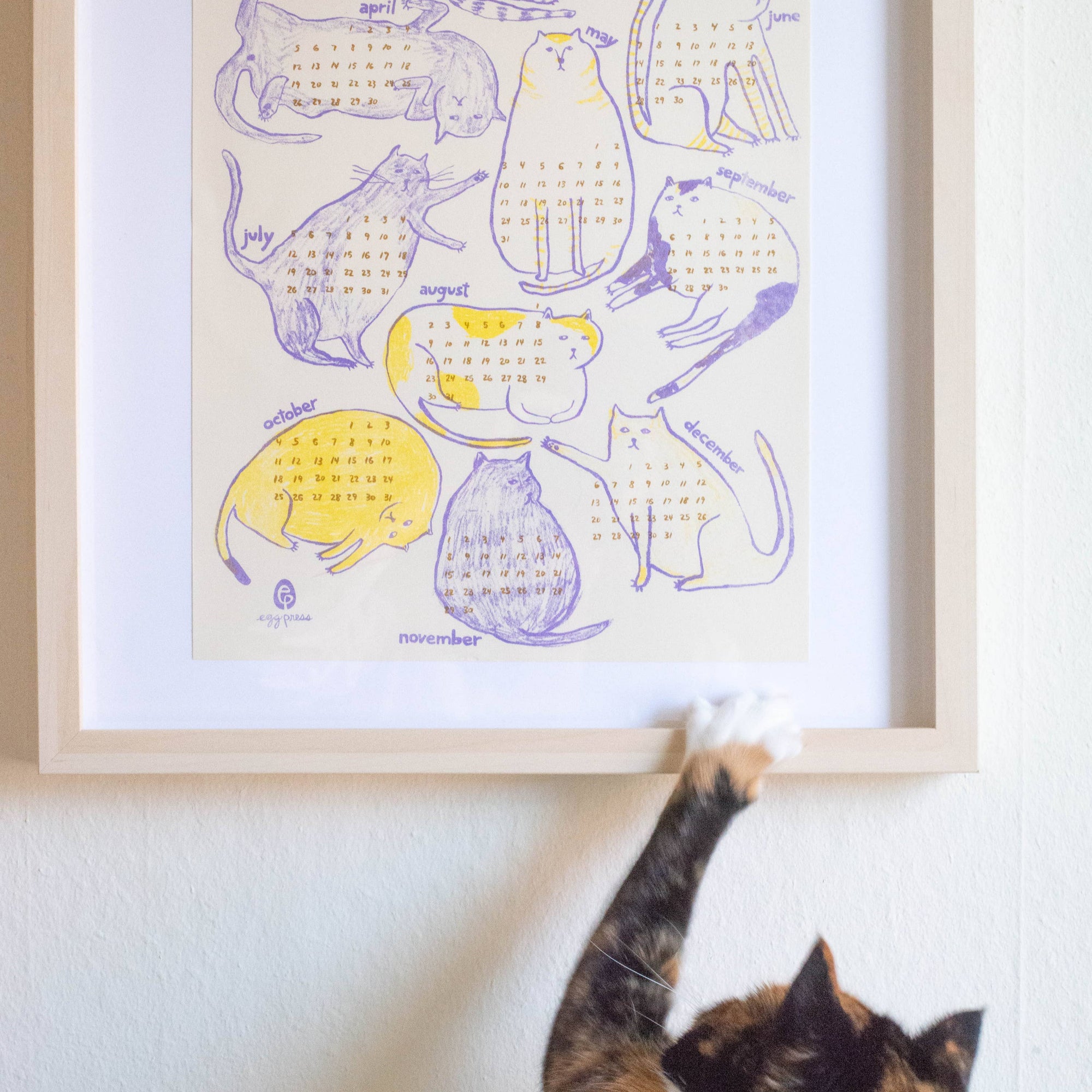 Framed calendar with cat illustrations and a cat reaching towards it