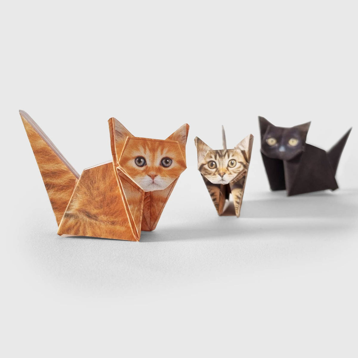 Three origami cats of different colors on a white background