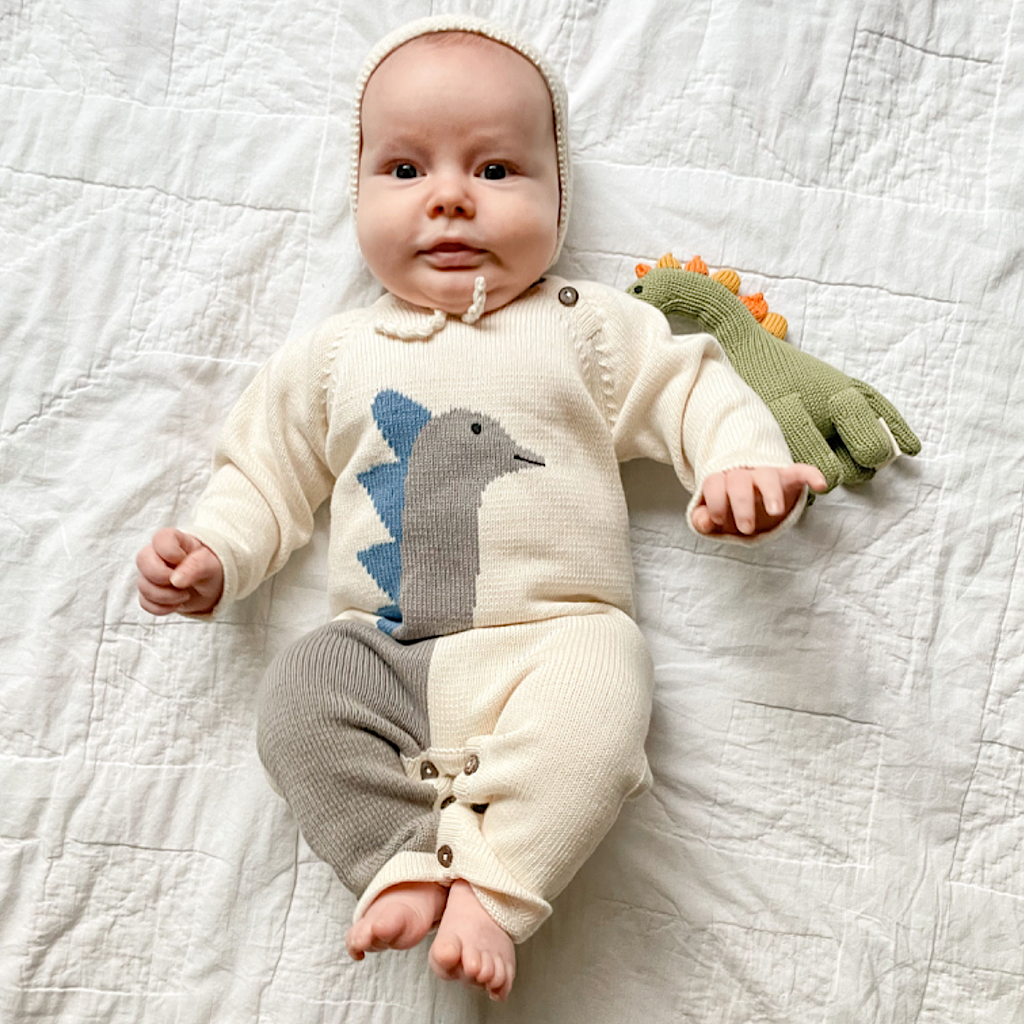 Organic Knit Baby Romper-Dinosaur