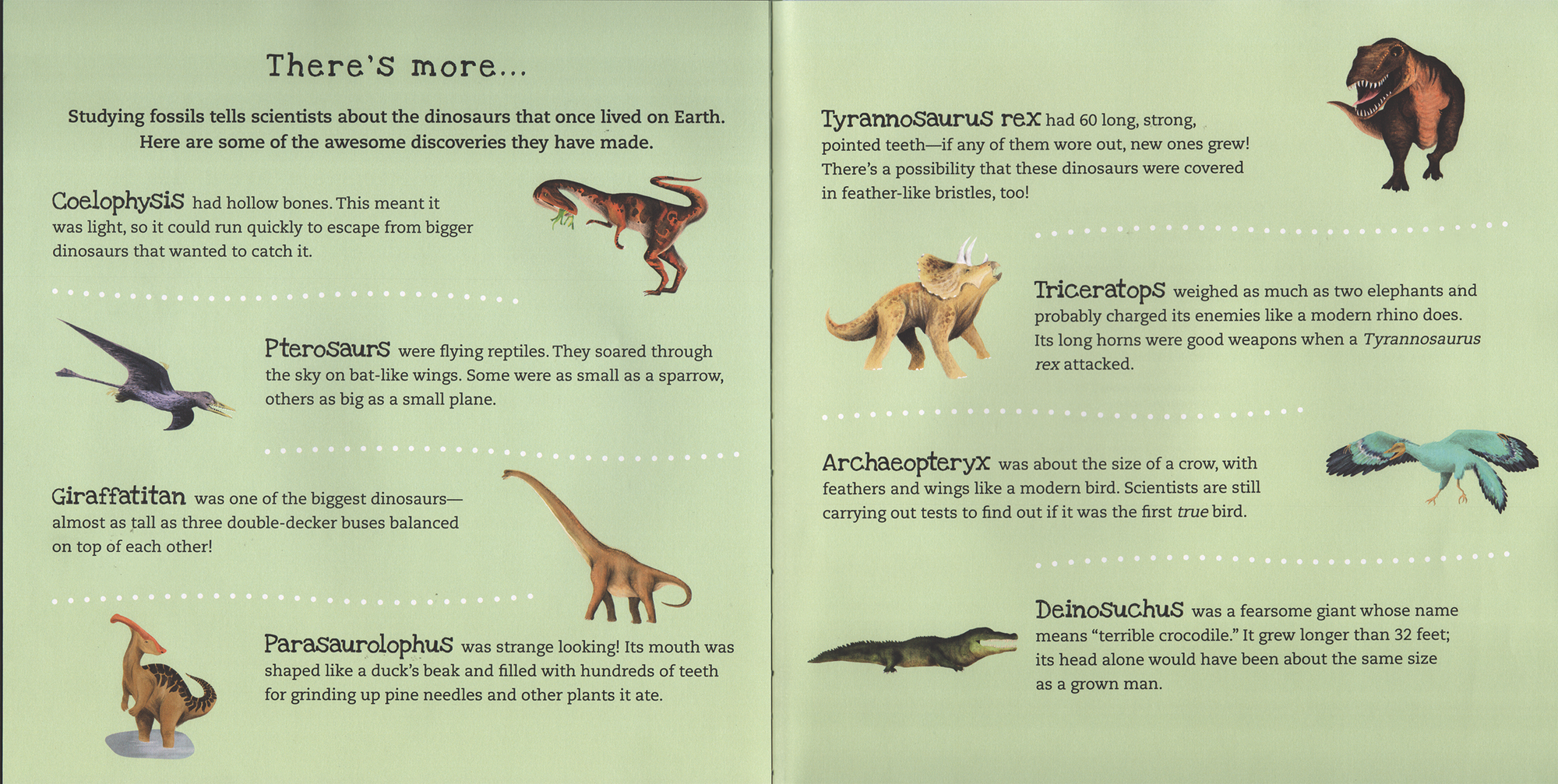 Educational display about dinosaurs with illustrations and text on a green background