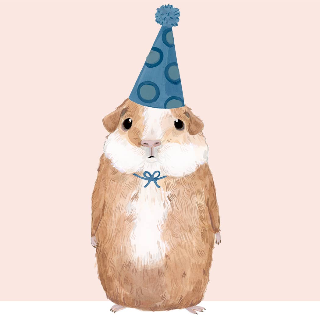 Guinea pig wearing a blue party hat on a light pink background