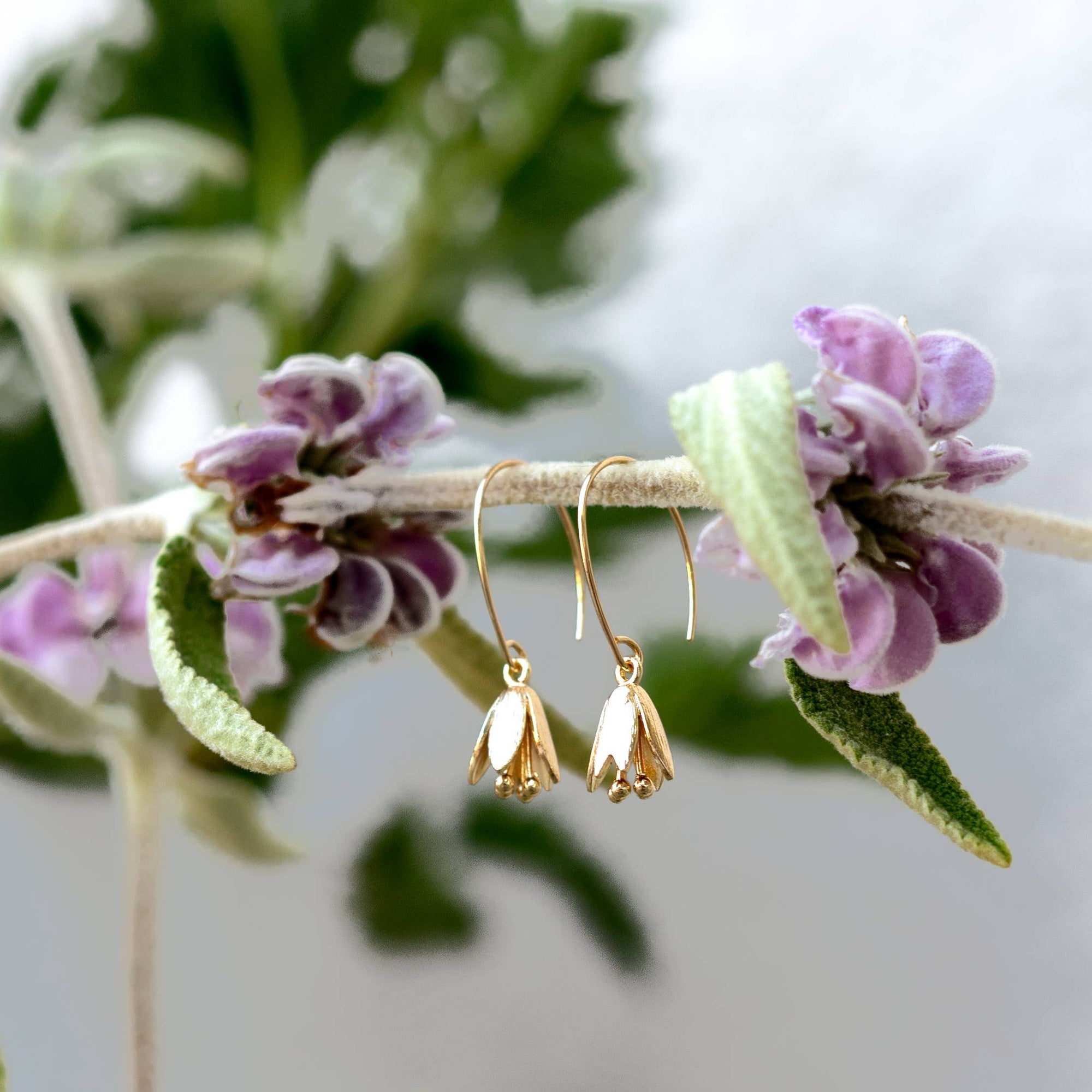 Courtenay Tulip Earrings