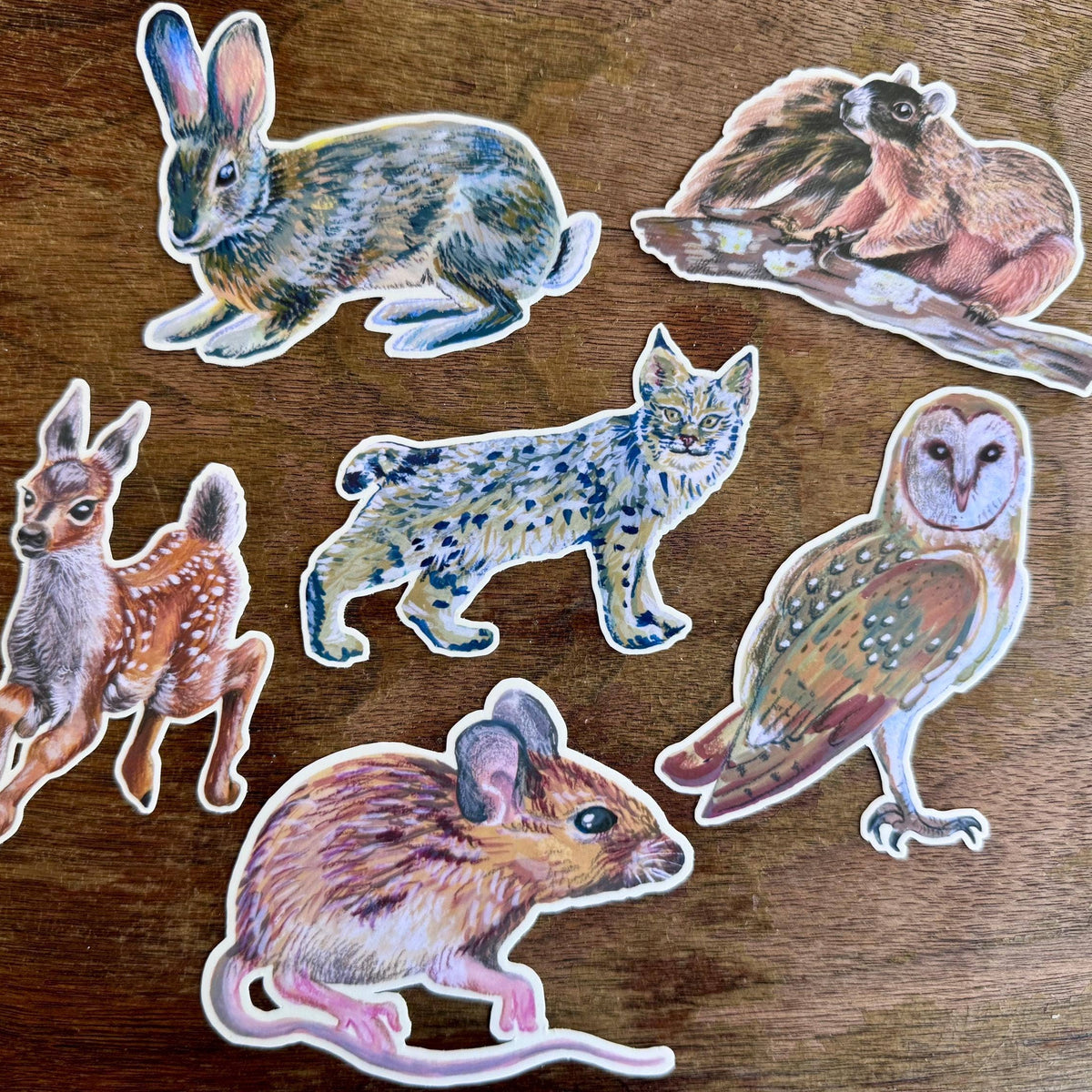 Woodland Animal Sticker for Nature Lovers