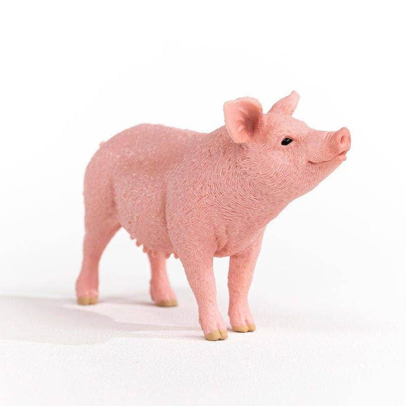 Pink pig figurine on a white background