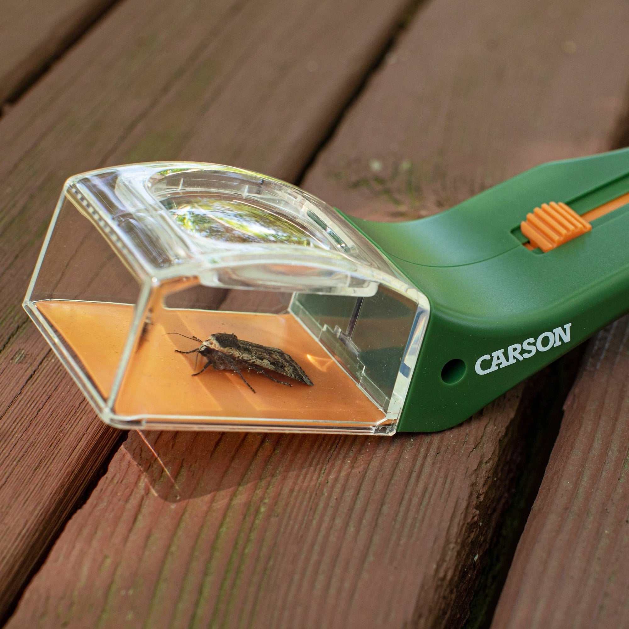 BugView 5x Magnifier Quick-Release Bug Catching Toy