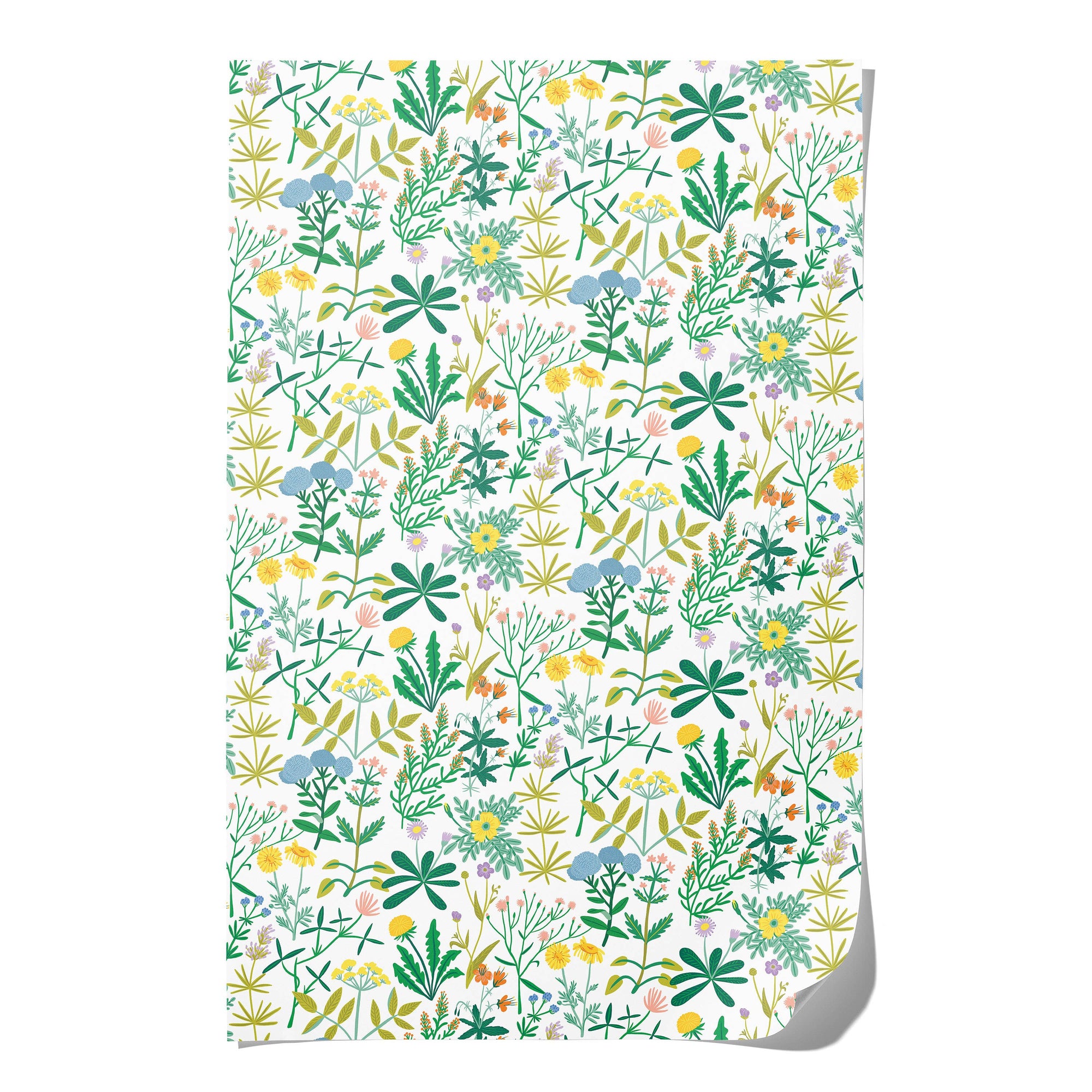 Growing Wild wrapping papers -roll of 3 sheets