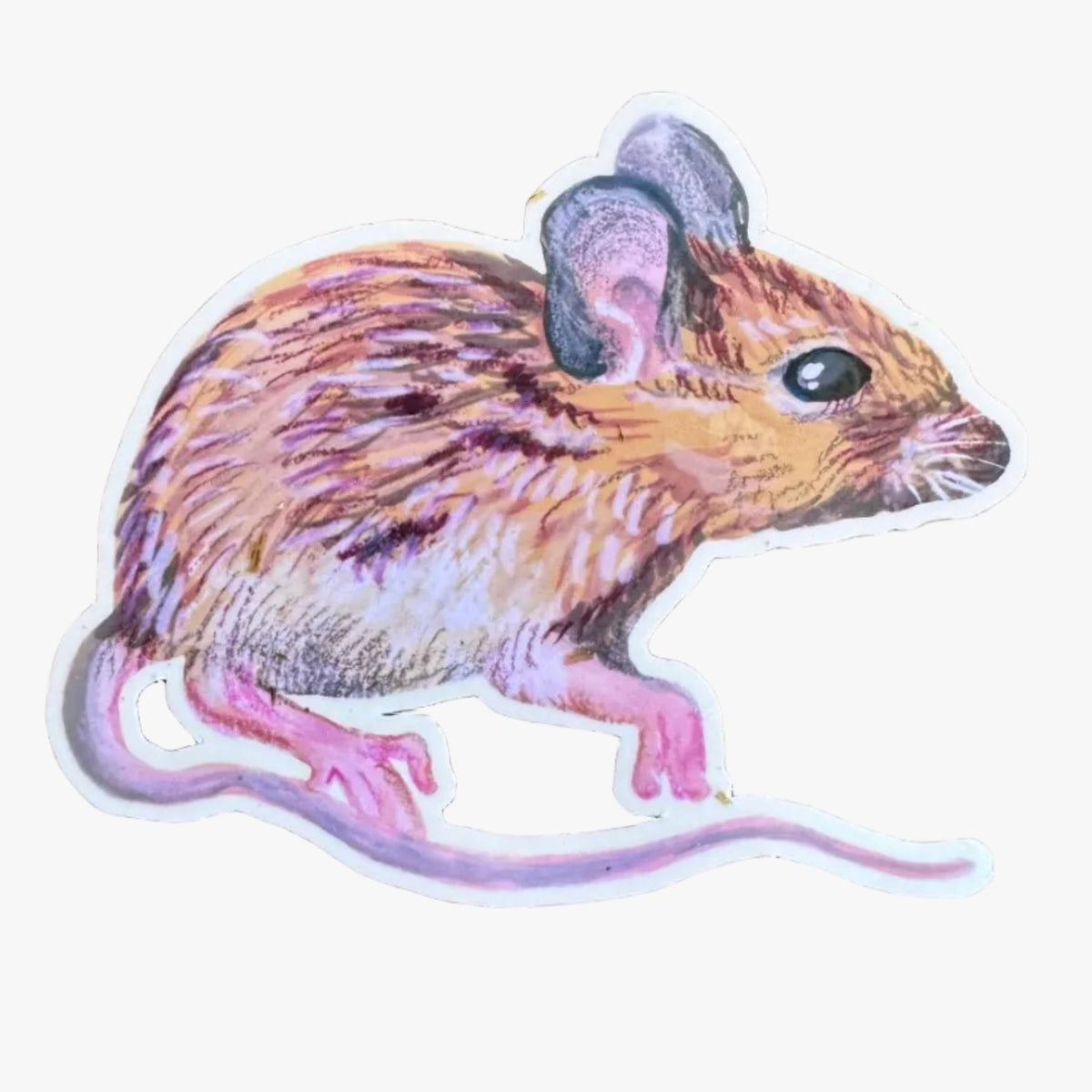 Woodland Animal Sticker for Nature Lovers