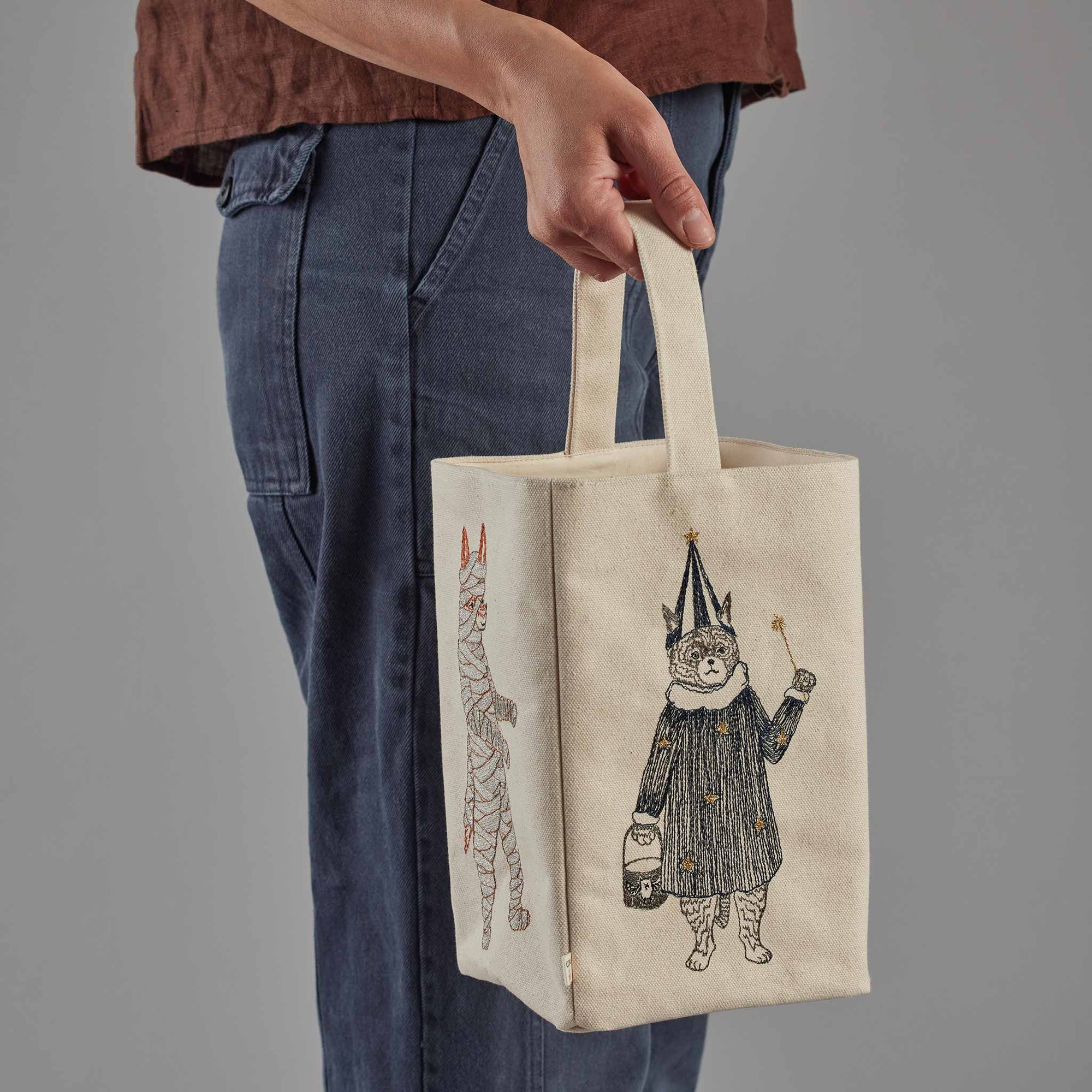 Halloween Costumes Bag