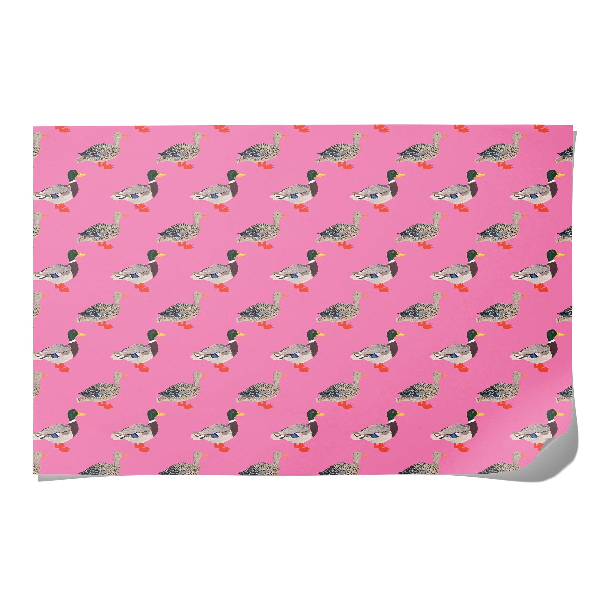 Quacky Birthday birthday wrapping paper - single sheet