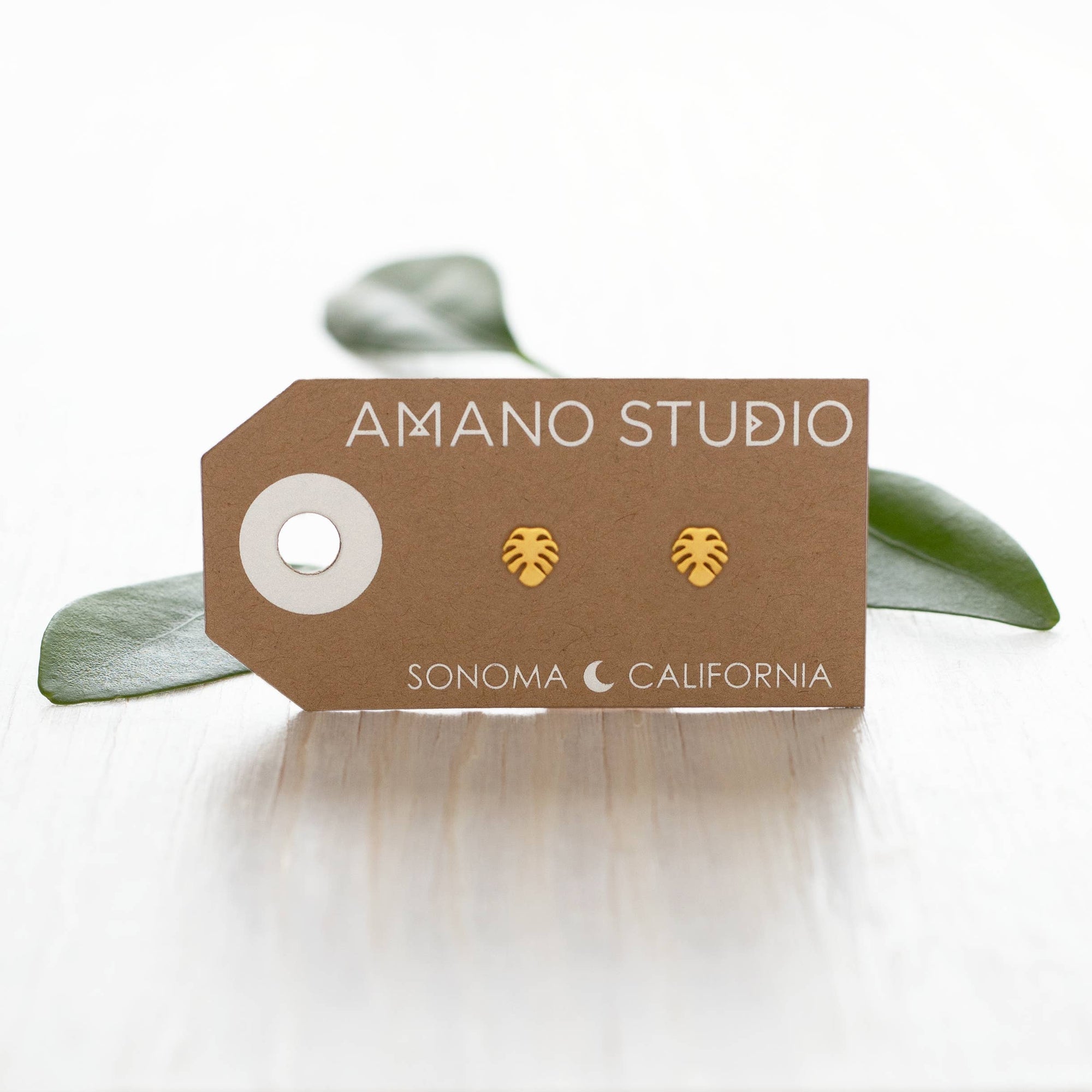 Tiny Monstera Leaf Stud Earrings