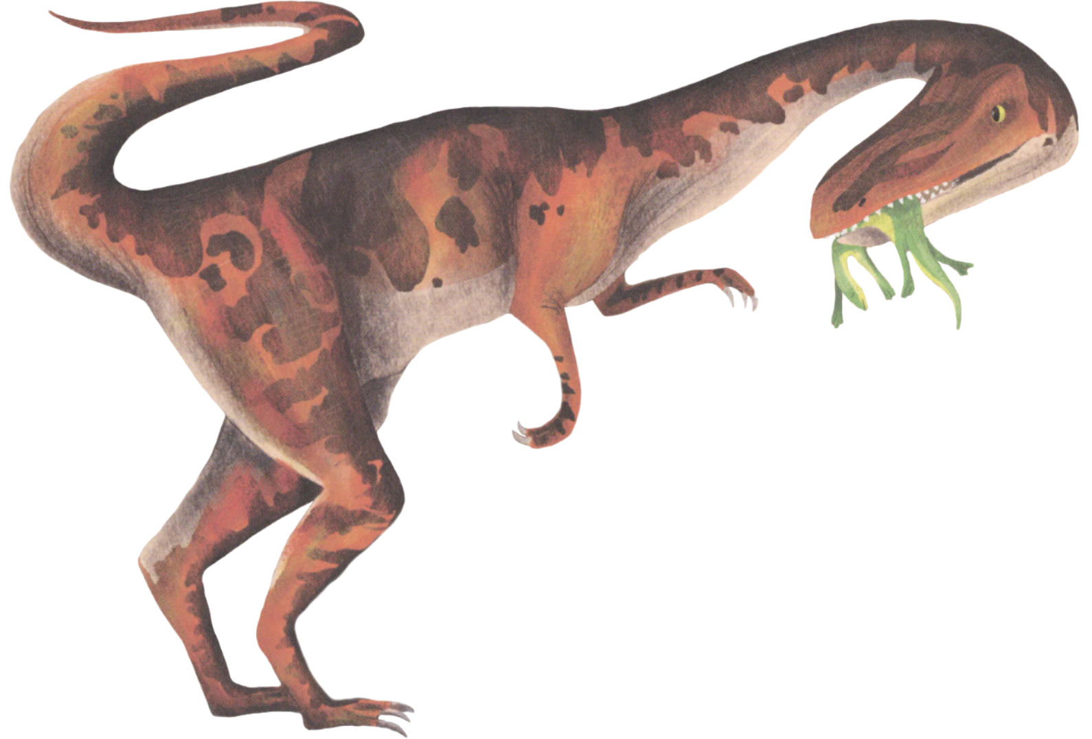 Illustration of a dinosaur with a white background