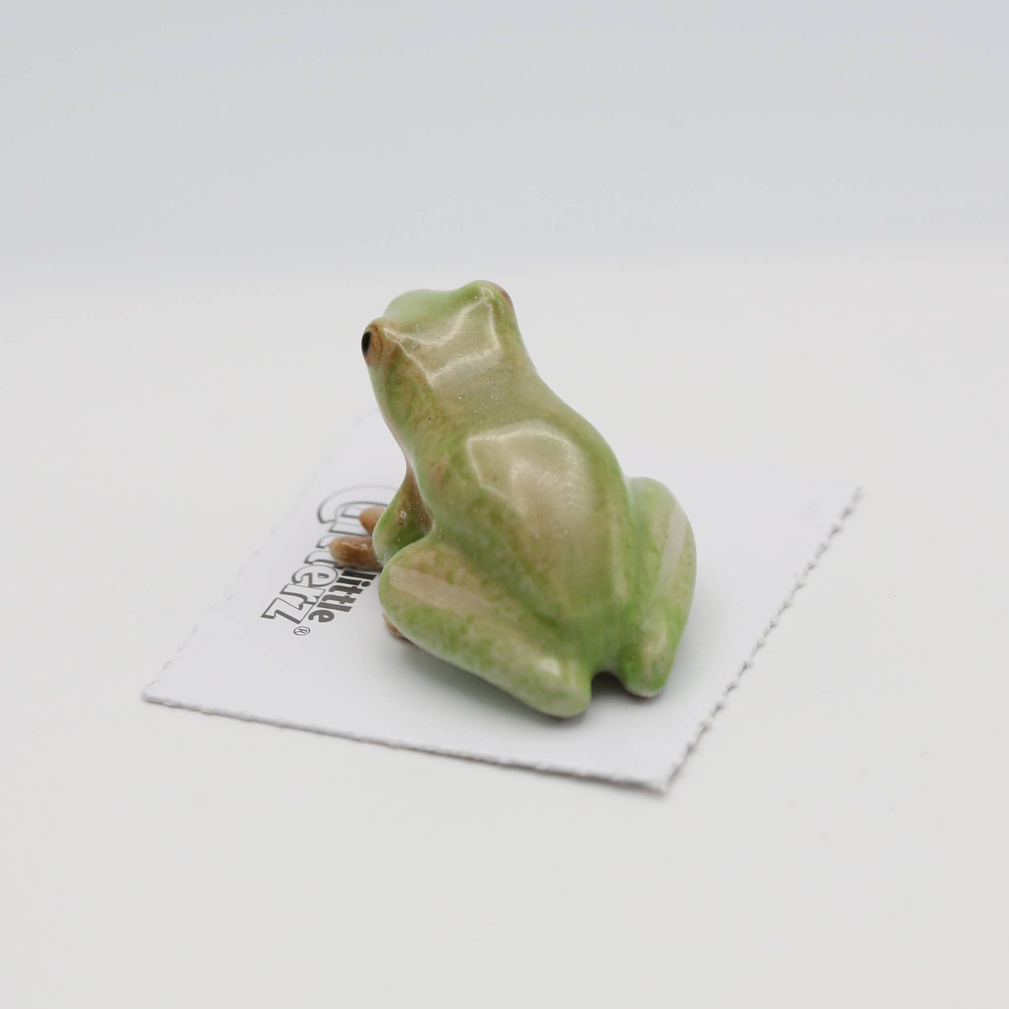 Small green frog figurine on a white card with text on a white background
