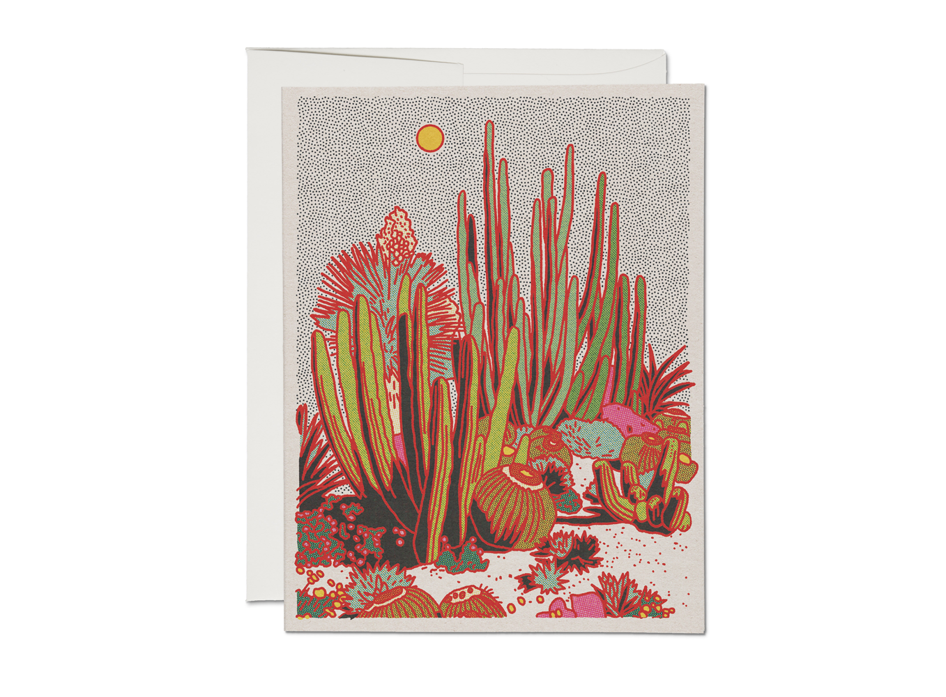 Cactus Scene Boxed cards