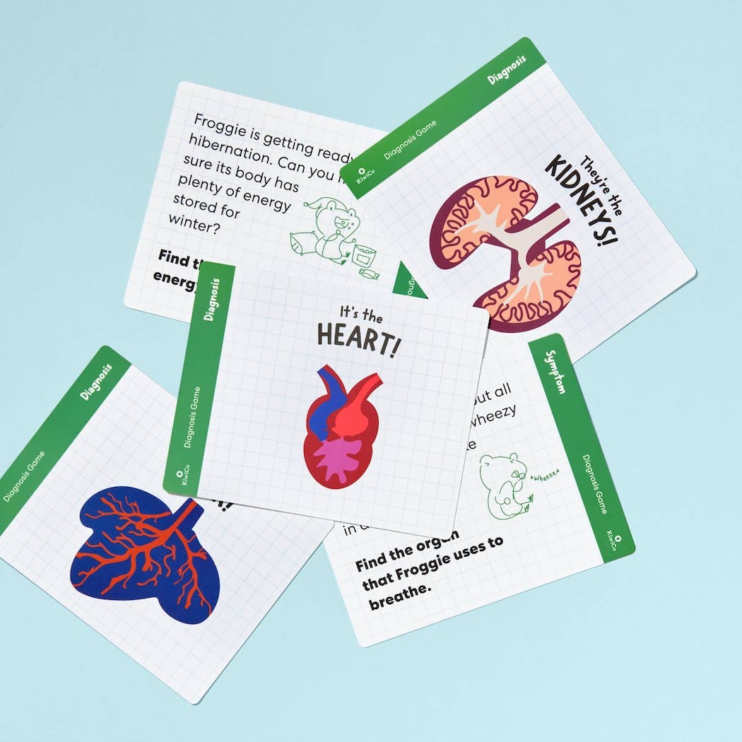 Educational card game with illustrations of organs on a light blue background