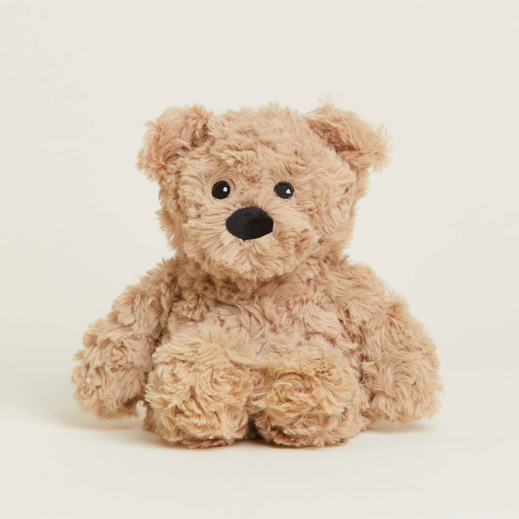 Plush teddy bear on a white background
