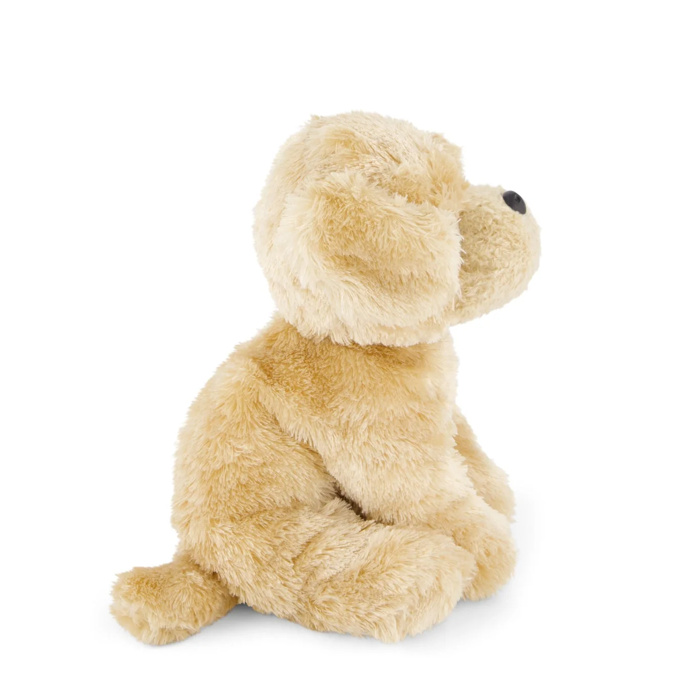 Plush dog toy on a white background
