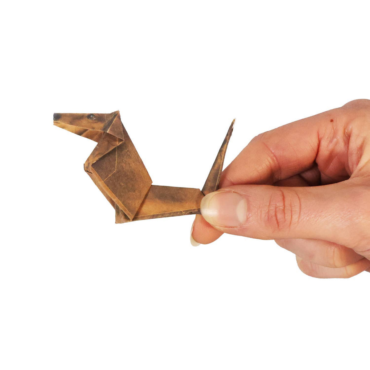 Hand holding a small origami animal on a white background