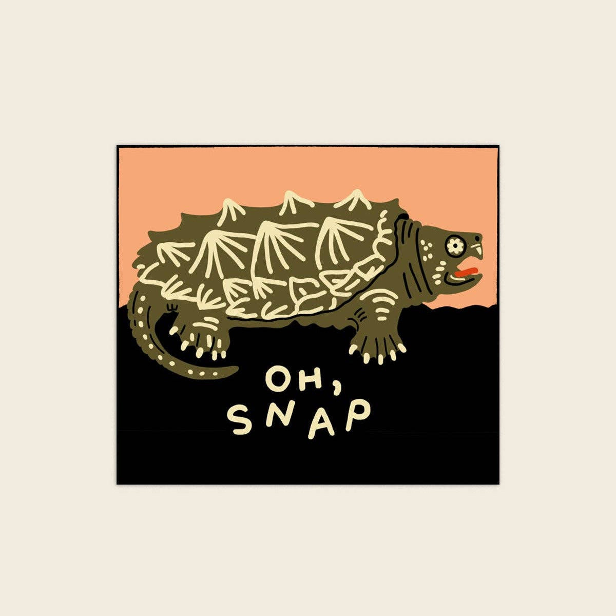 Illustration of a turtle with a shell pattern and 'OH, SNAP' text on a peach and black background.