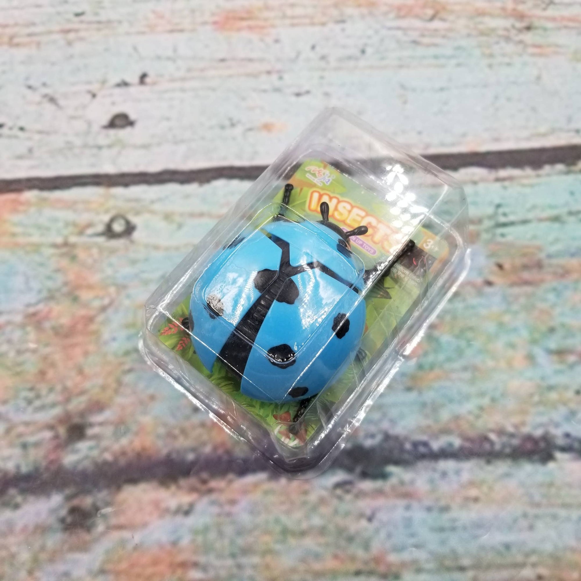 Blue toy ladybug in clear packaging on a textured surface