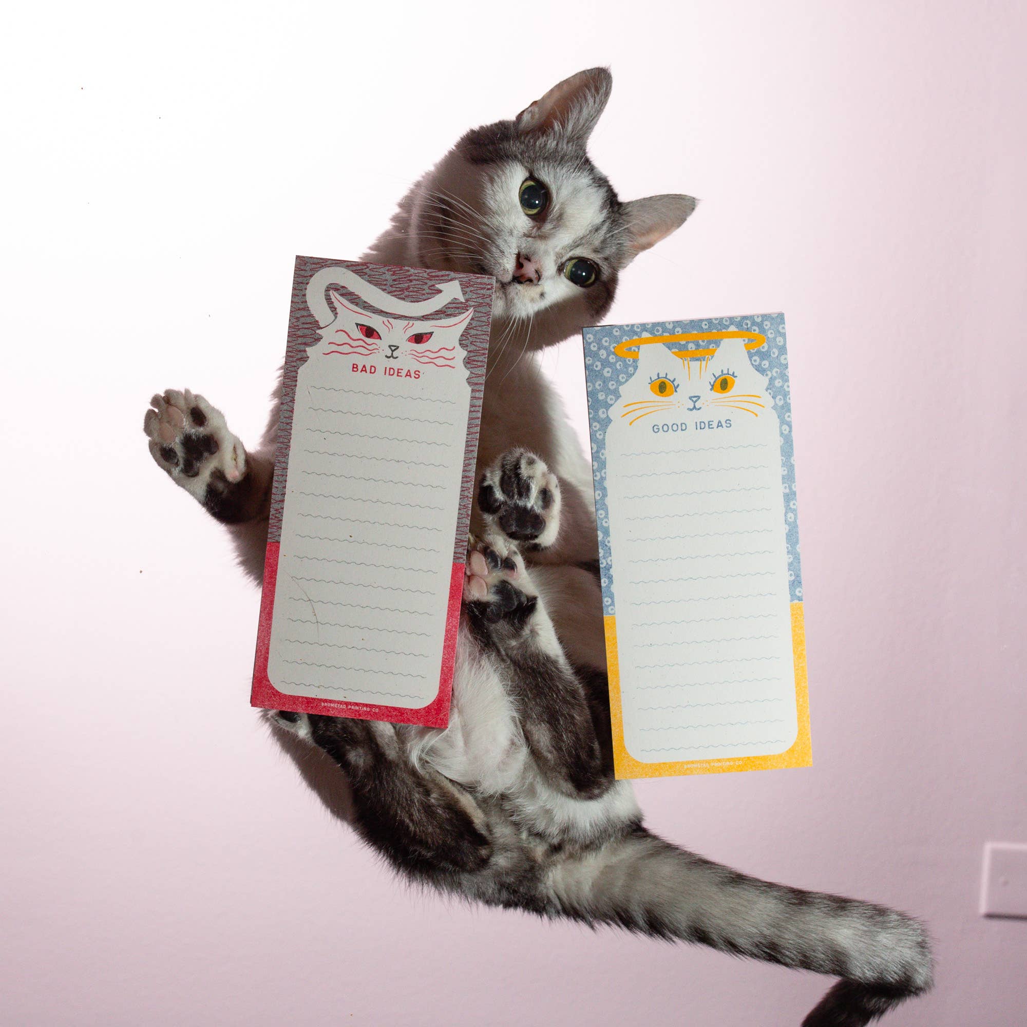 Cat holding two notepads with cat-themed designs on a pink background