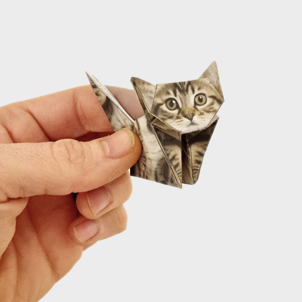 Hand holding a small origami cat on a white background