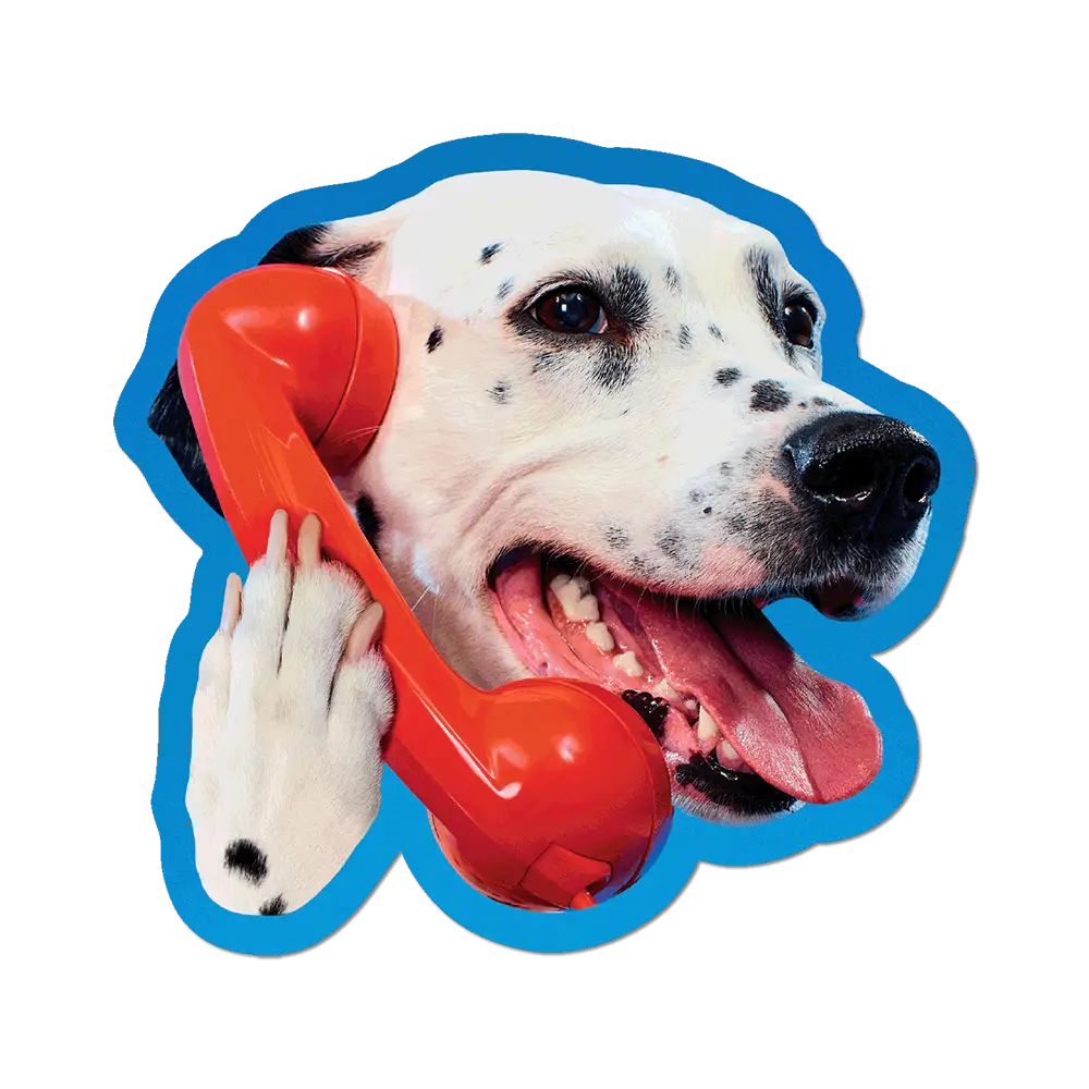 A die-cut sticker featuring a Dalmatian dog holding a bright red telephone receiver, outlined in blue, on a plain white background.