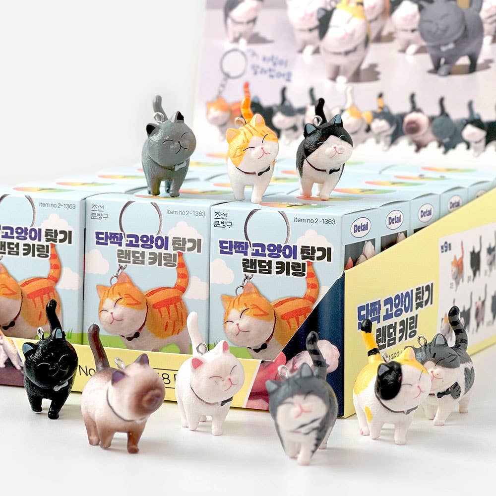 Cat-themed figurines and boxes on a white background