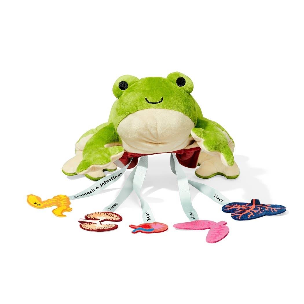 Plush frog toy with educational parts on a white background