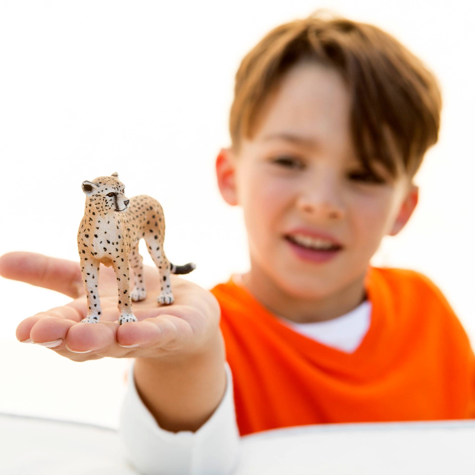 Child holding a toy cheetah figure against a white background