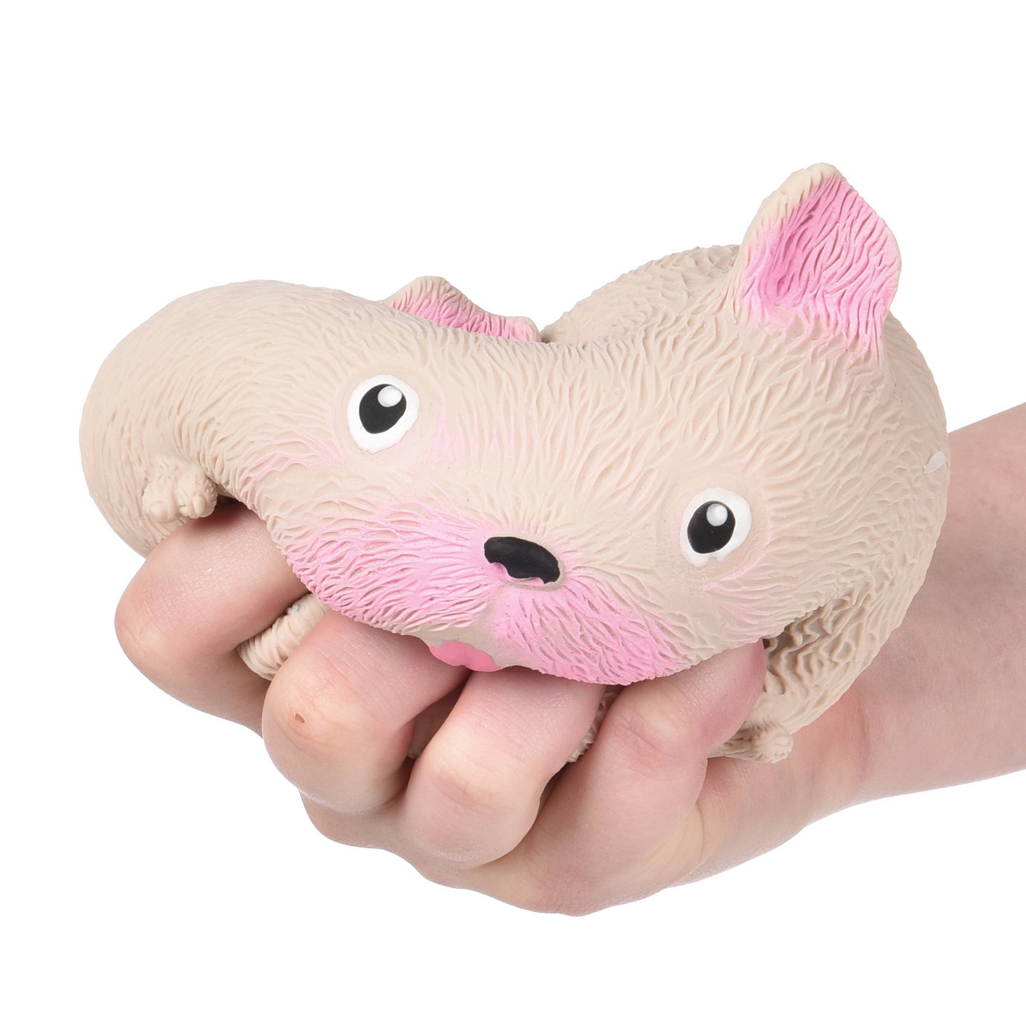 Squishy toy shaped like a cat being held in a hand on a white background