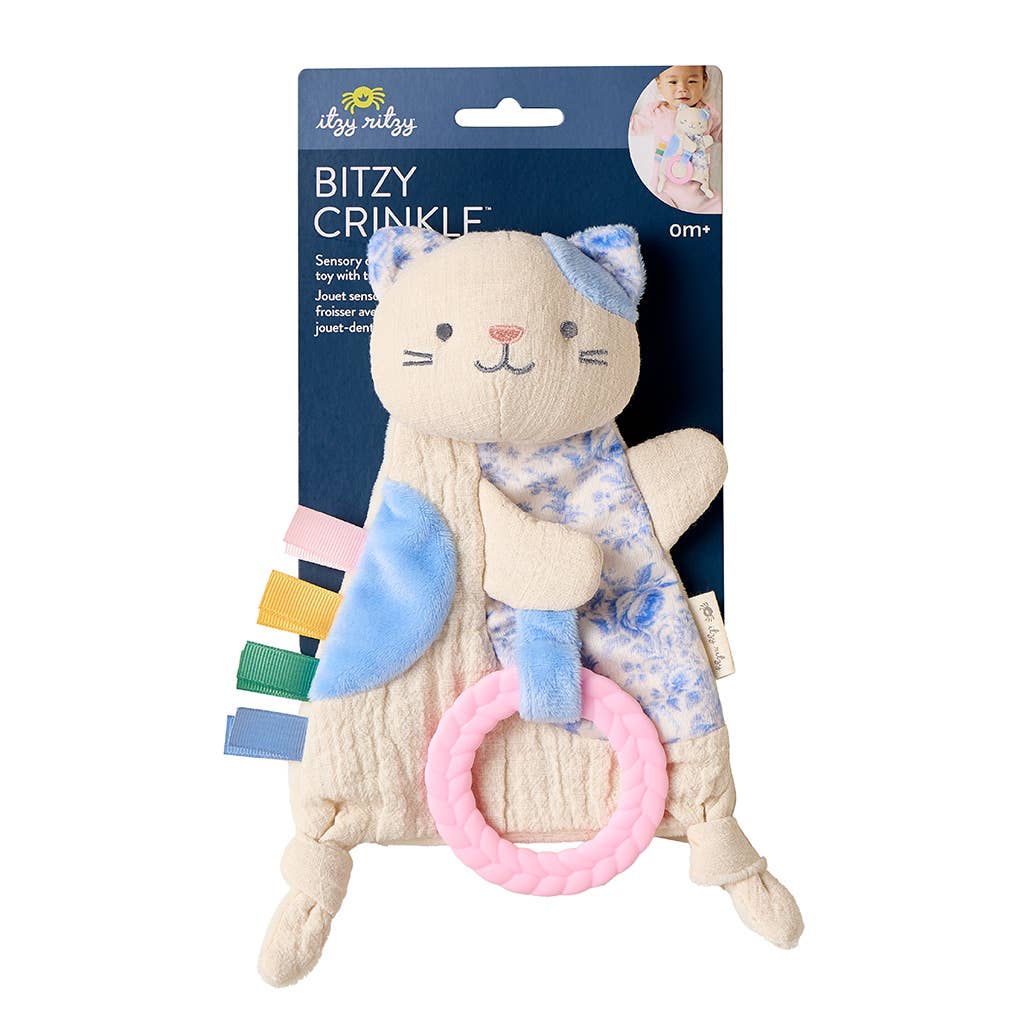 Plush toy with crinkle elements and pink ring, branded 'Itzy Ritzy', on a white background.