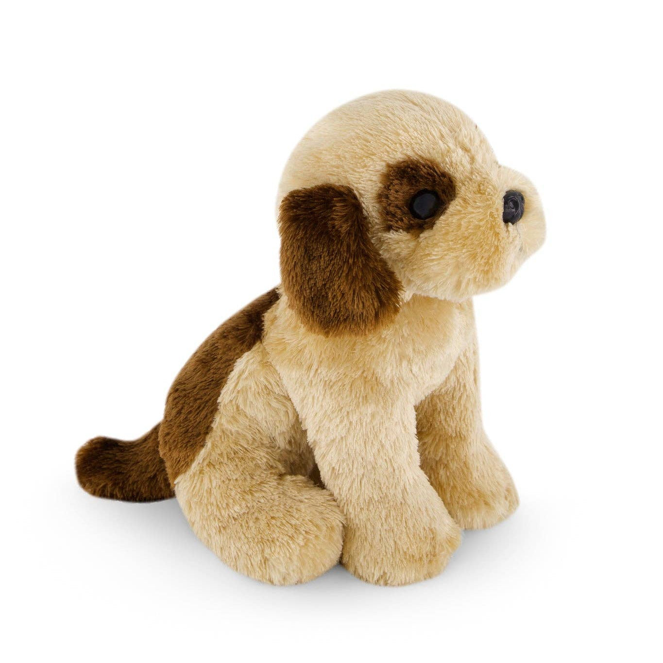 Plush toy dog on a white background