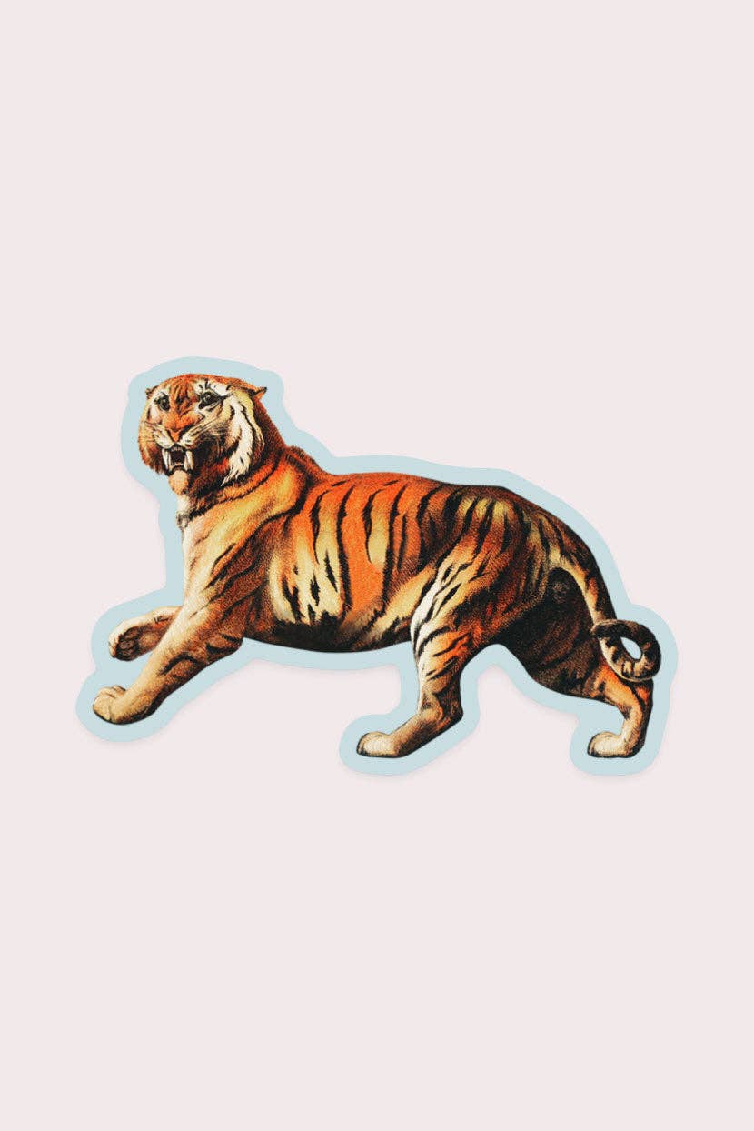 Aghast Tiger - Gap Filler Sticker