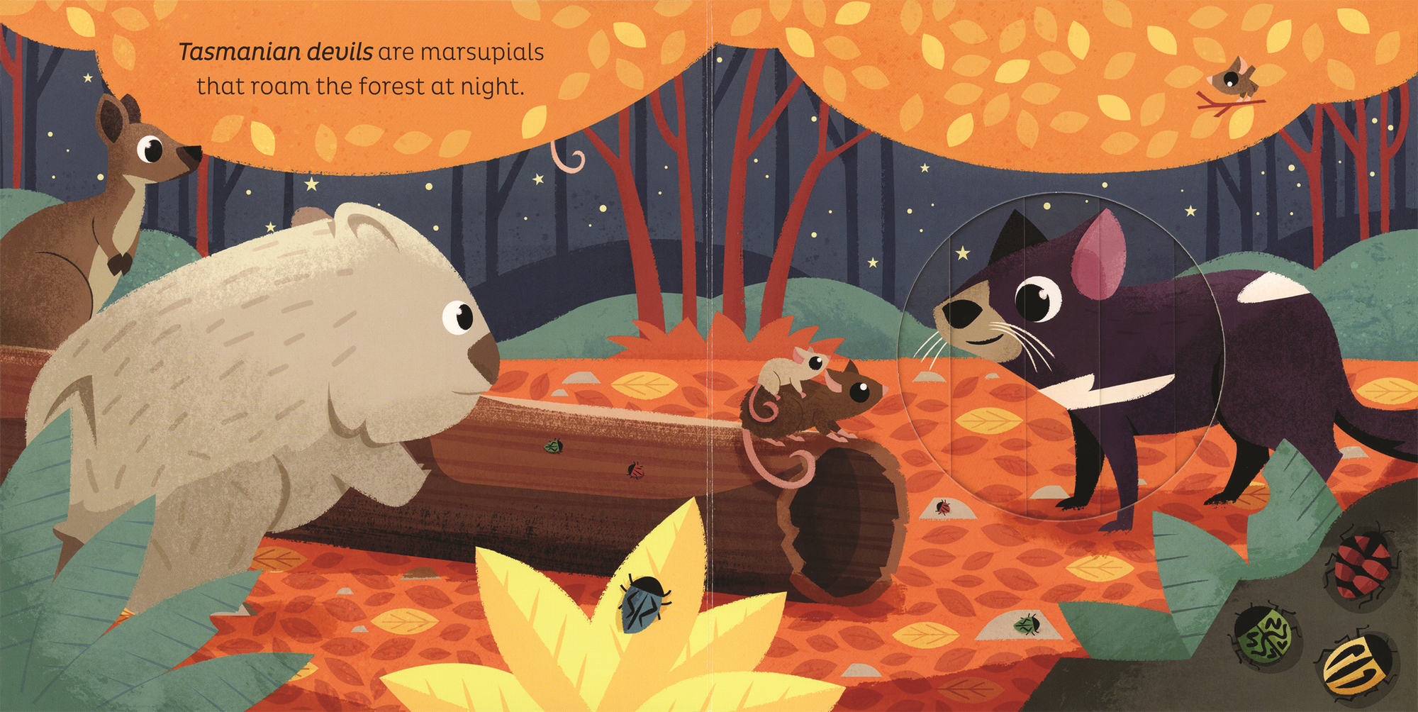 Illustration of Tasmanian devils and other animals in a forest at night.