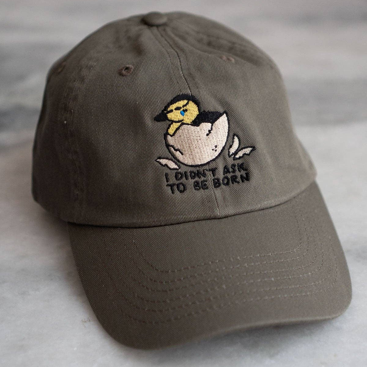 I Didn't Ask to be Born Dad Hat