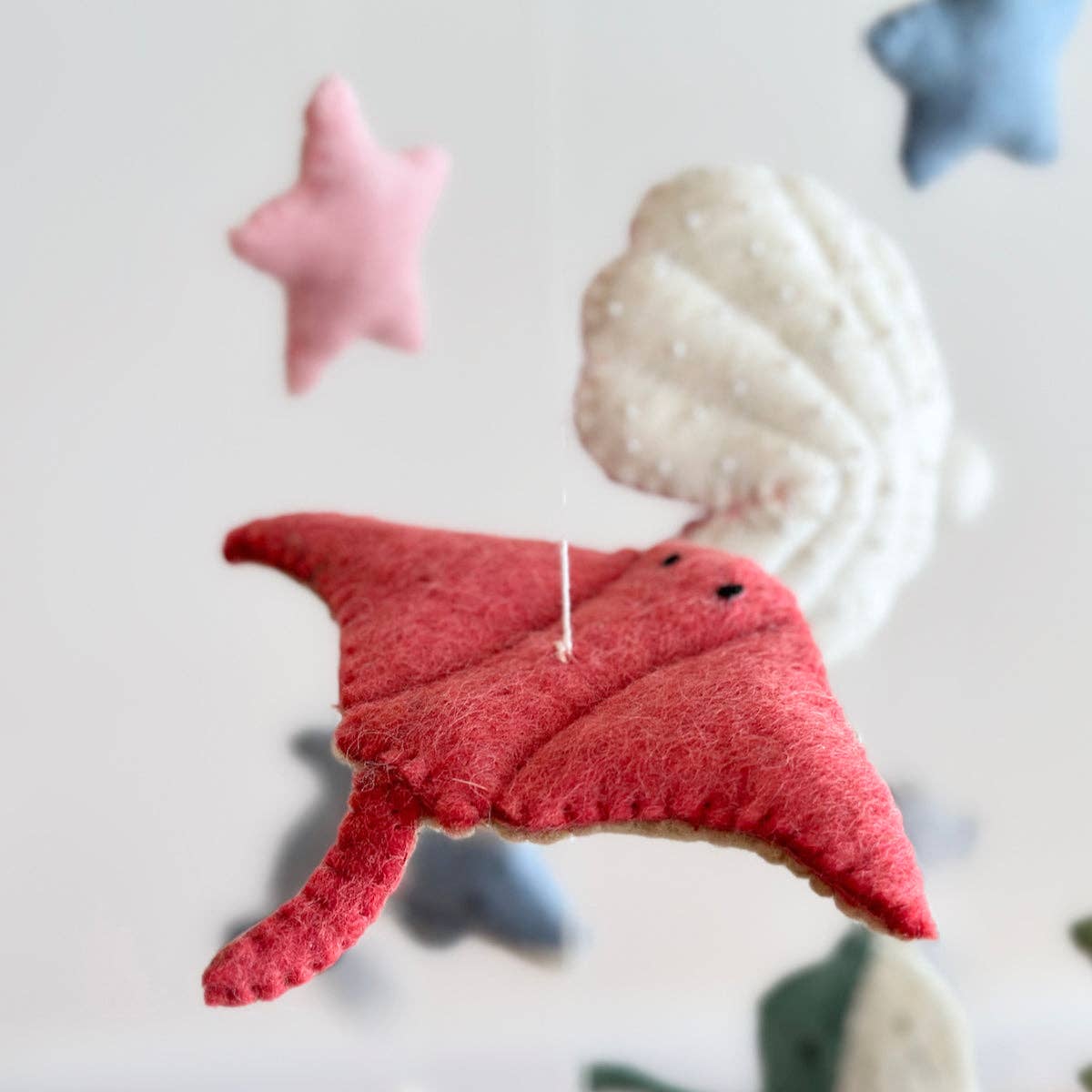 Red fray ornament with a blurred background of colorful stars and shells