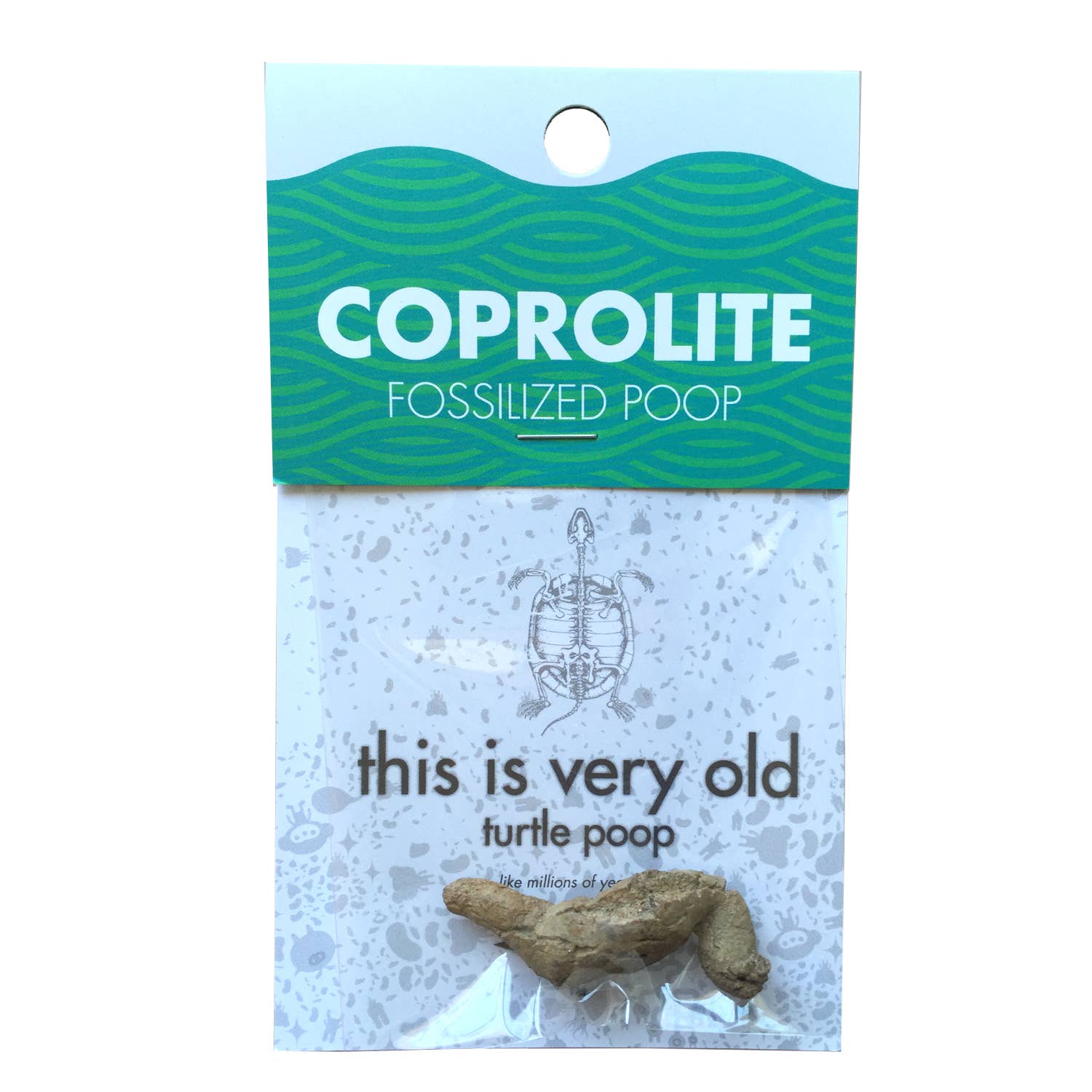 Package of Coprolite fossilized turtle poop with text and a turtle illustration on a light blue background.