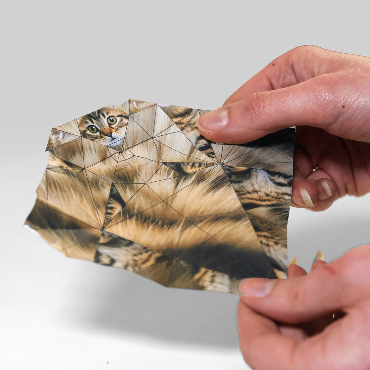 Person holding a folded paper with a cat's face design on a plain background