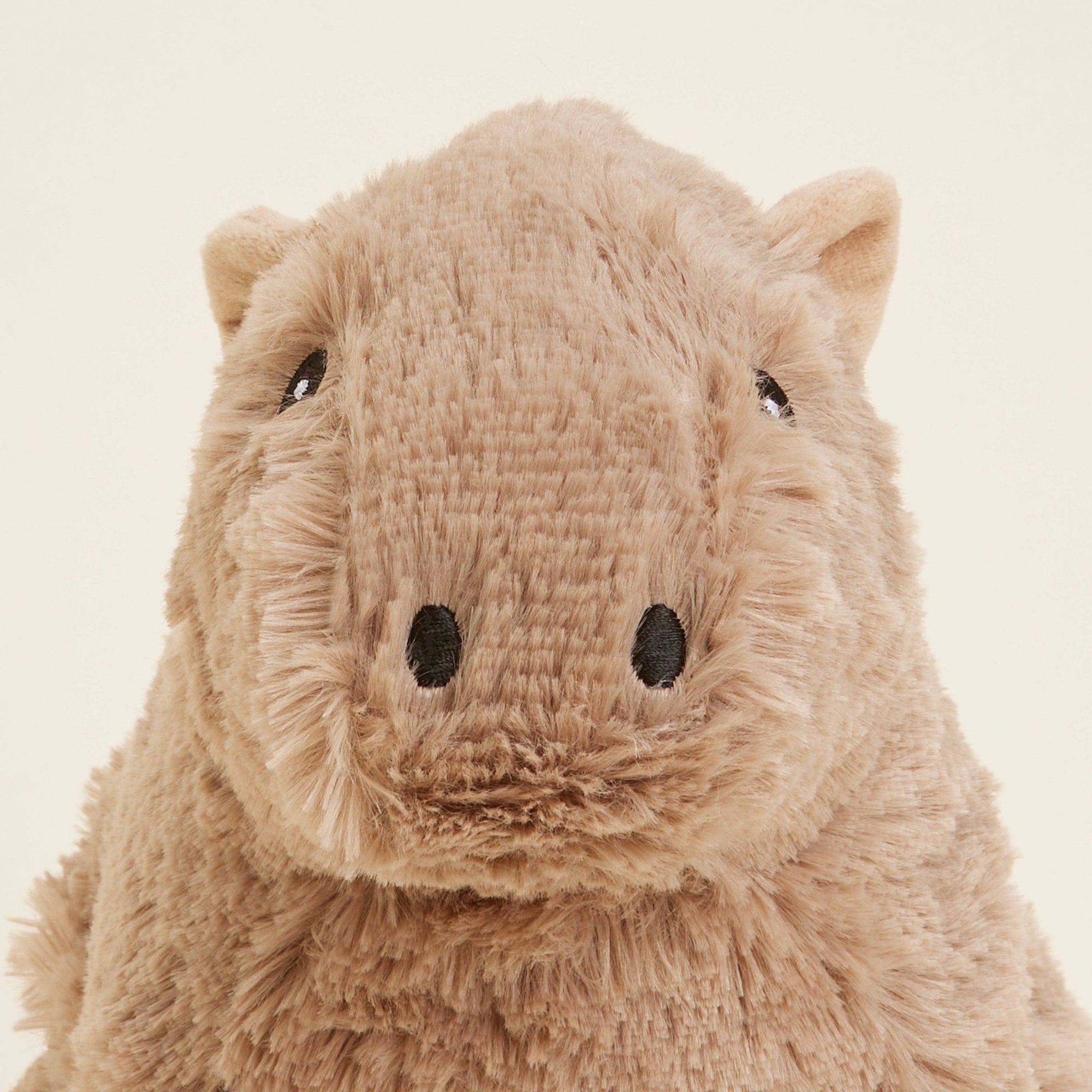 Plush toy capybara on a beige background