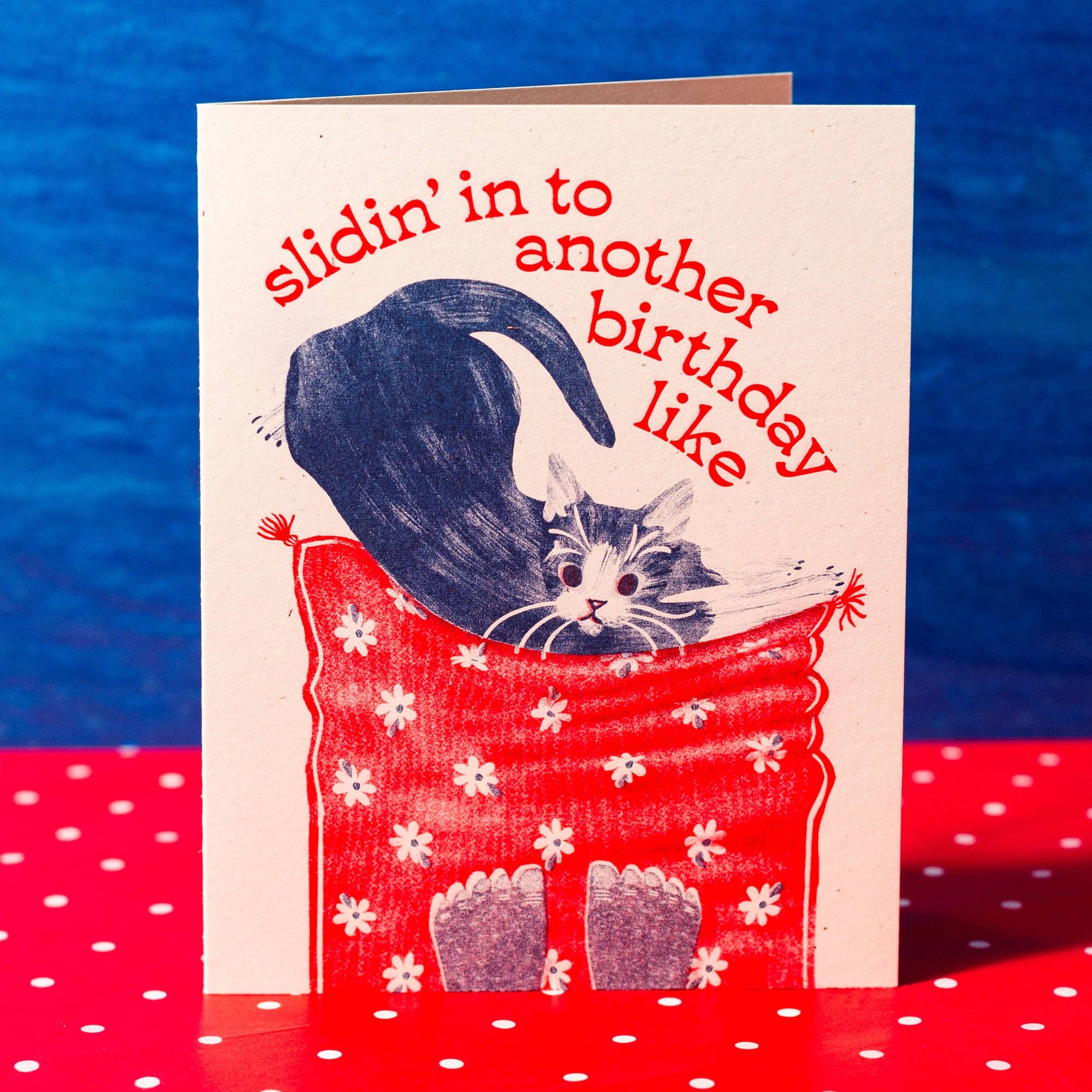 Birthday card with a cat in a red chair and text on a blue and red polka dot background