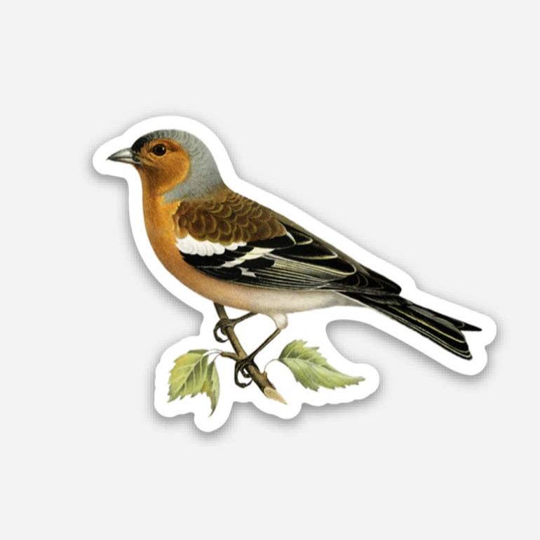 Stoic Finch - Gap Filler Sticker