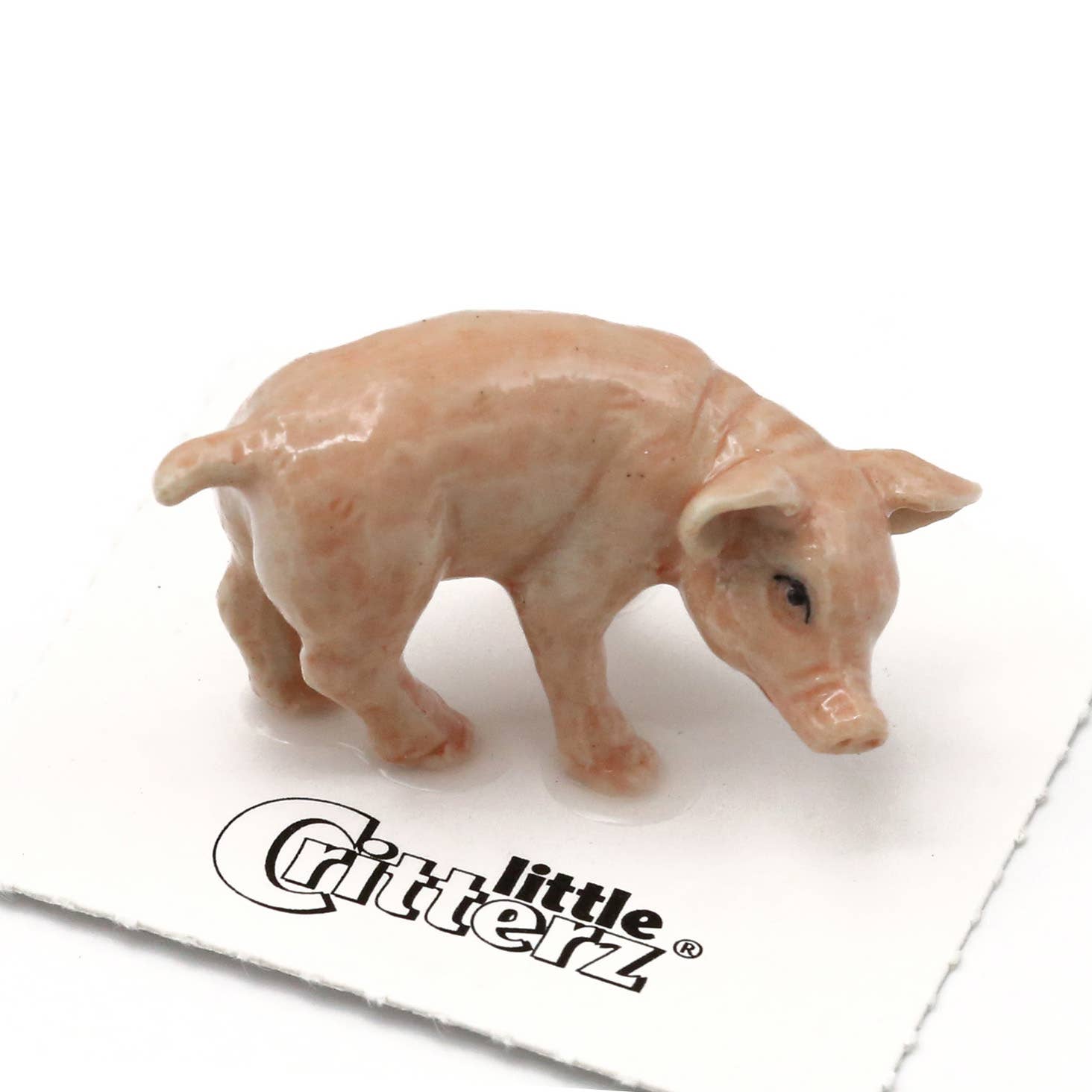 Small pig figurine on a white background with 'little Critterz' branding.