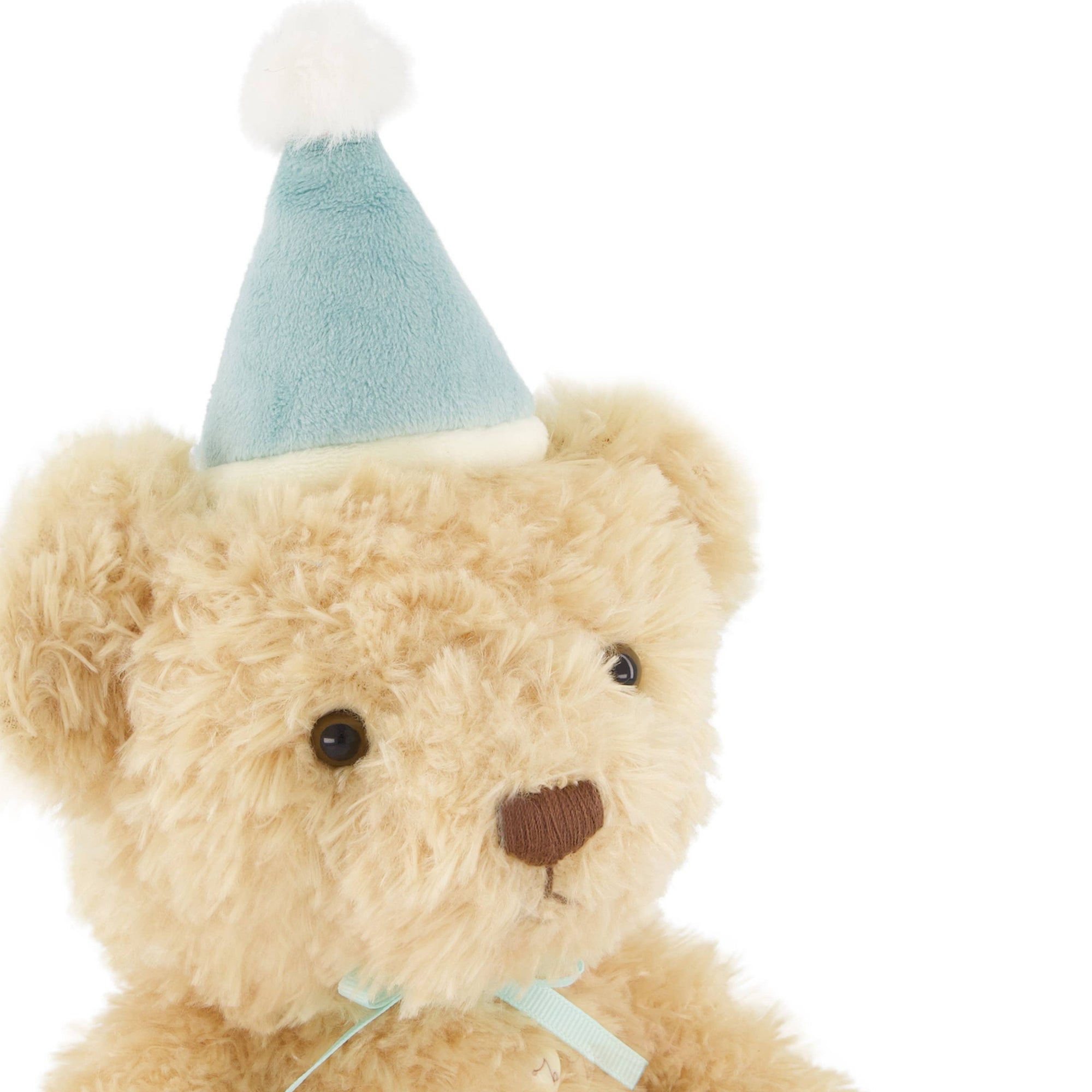 Teddy bear wearing a blue party hat on a white background