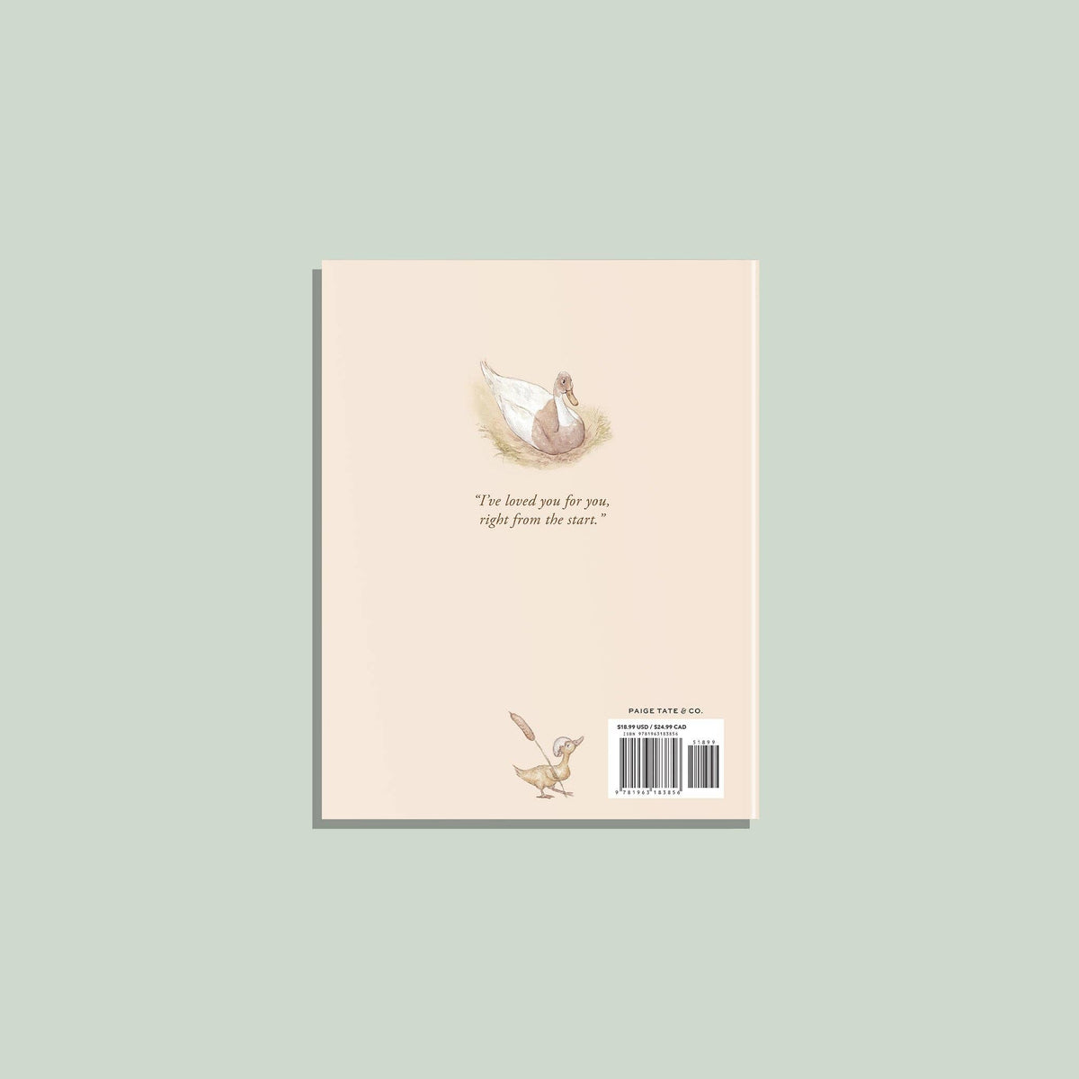 Card with a swan illustration on a light pink background
