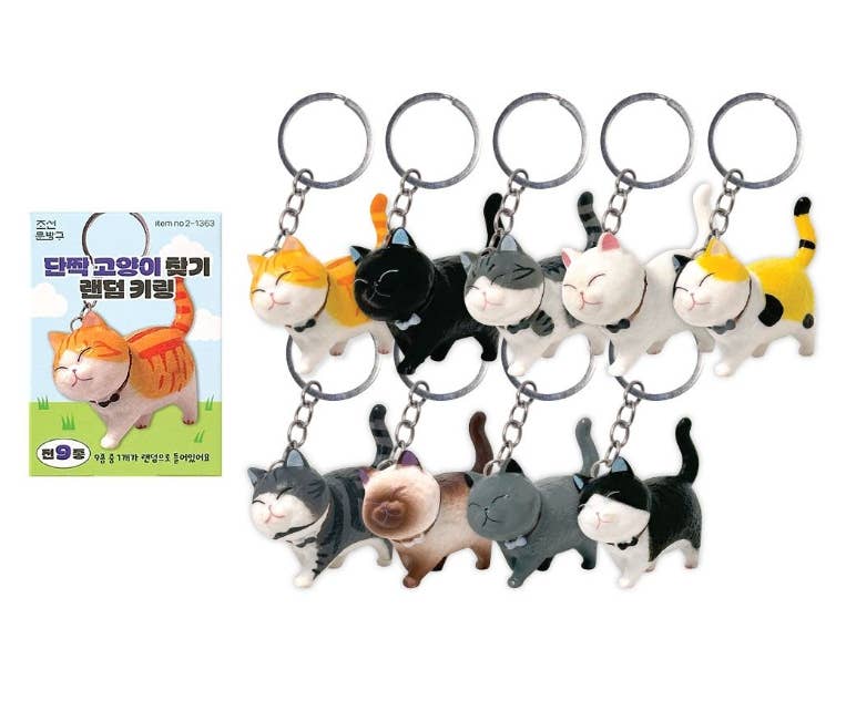 Best Friend Cat Figure Collectable Keyring -Random Box