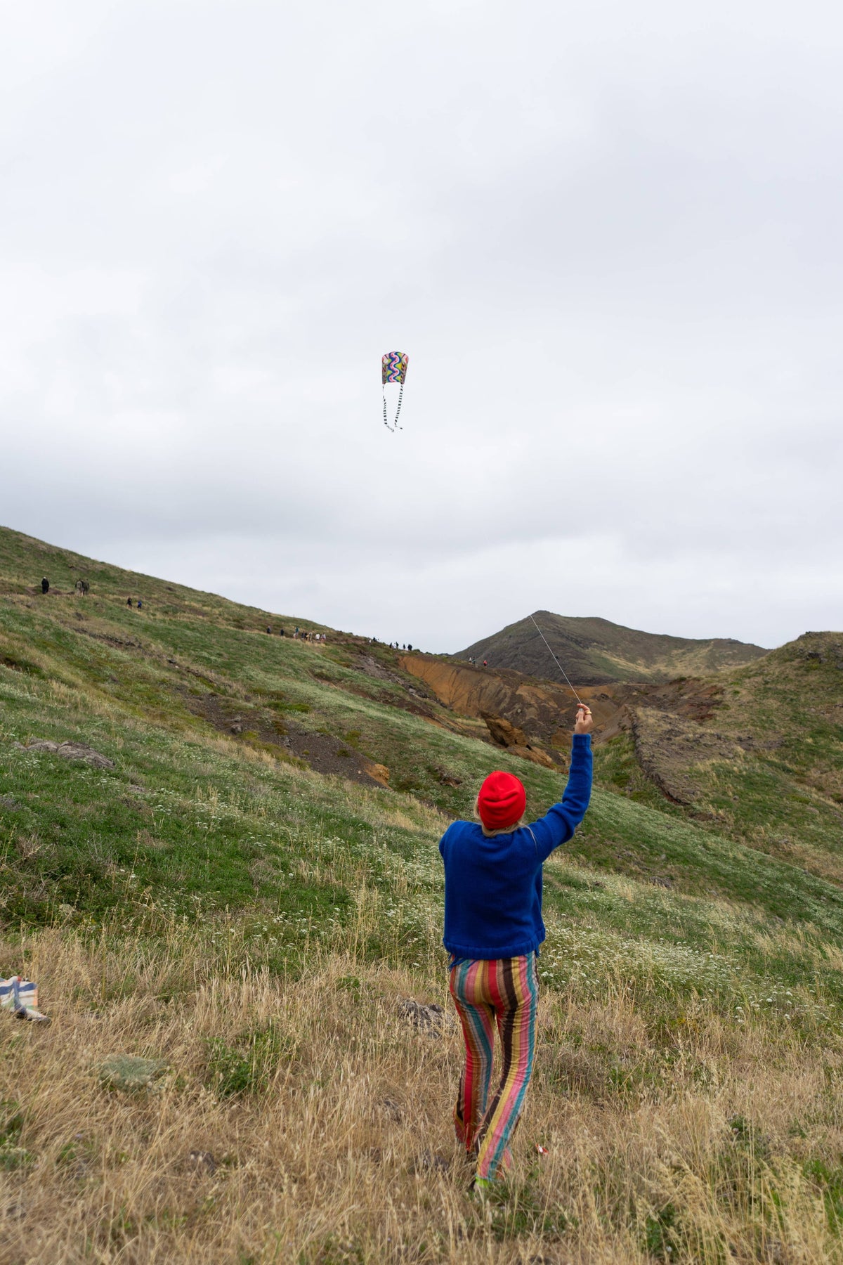 POCKET KITE / SPEEDY