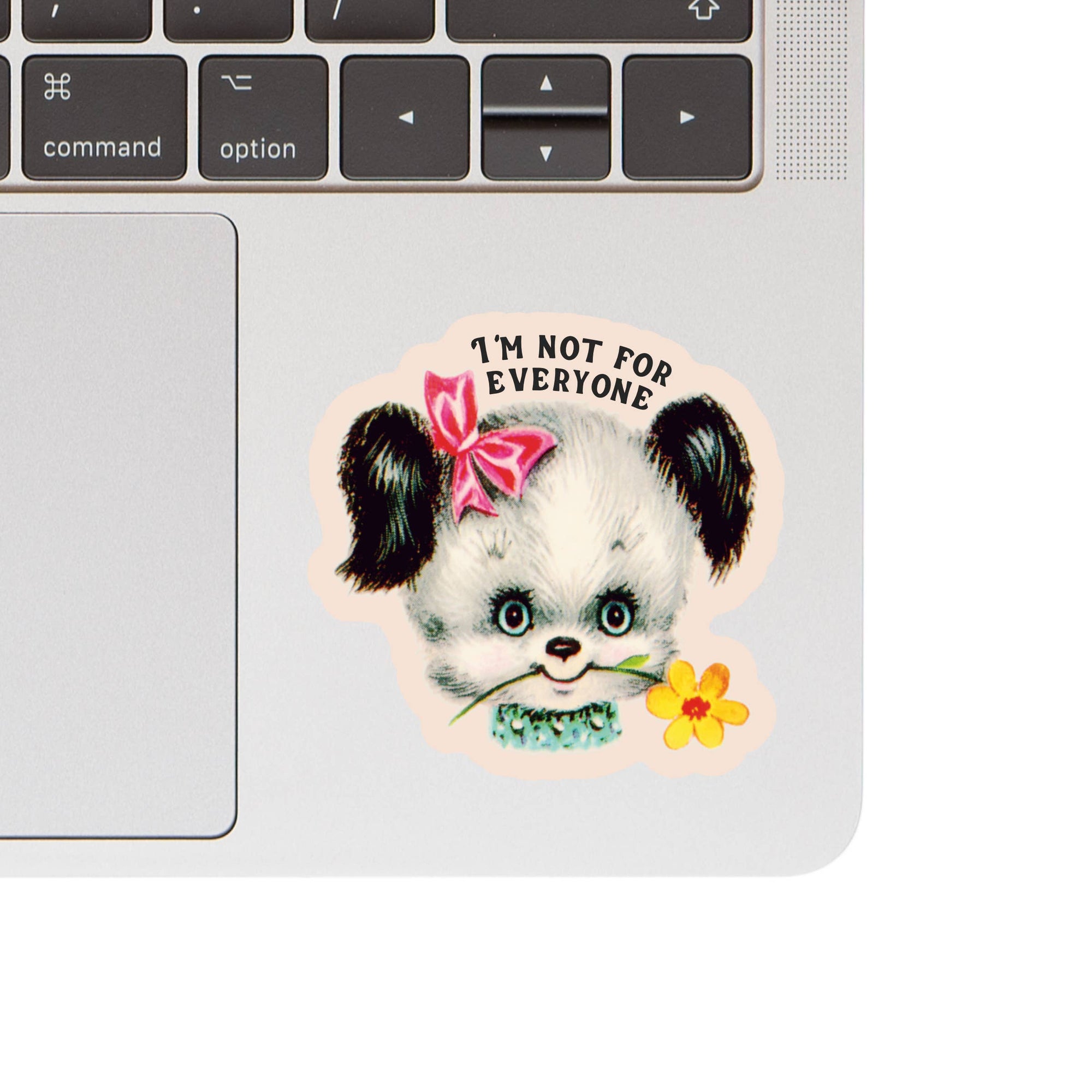 Not for Everyone Vinyl Sticker