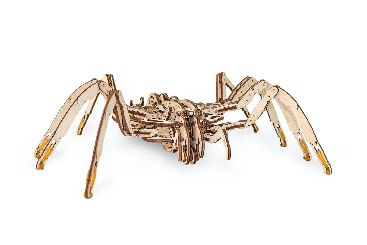 Spider -mechanical wind-up 3D-puzzle