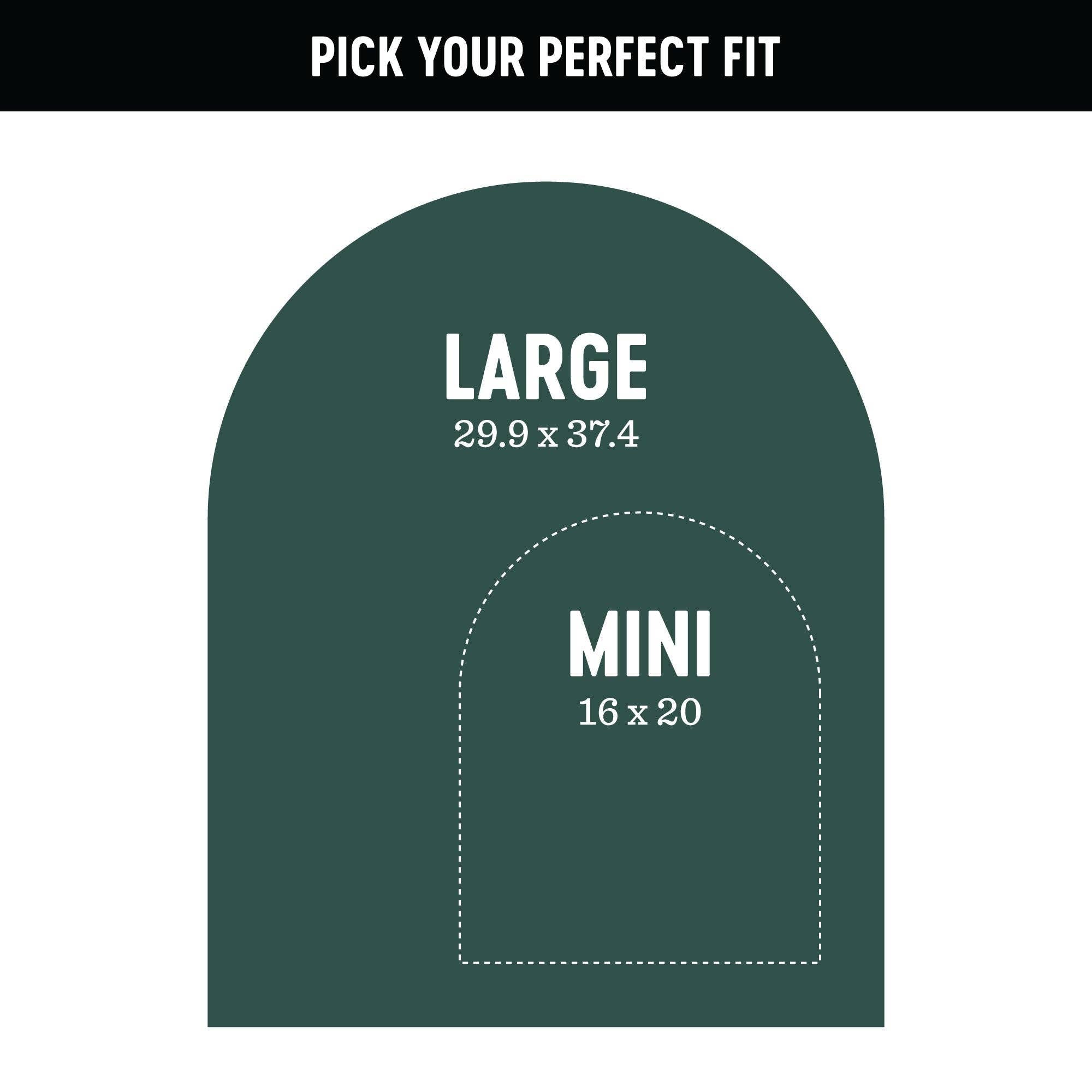 Diagram showing large and mini product dimensions on a green background